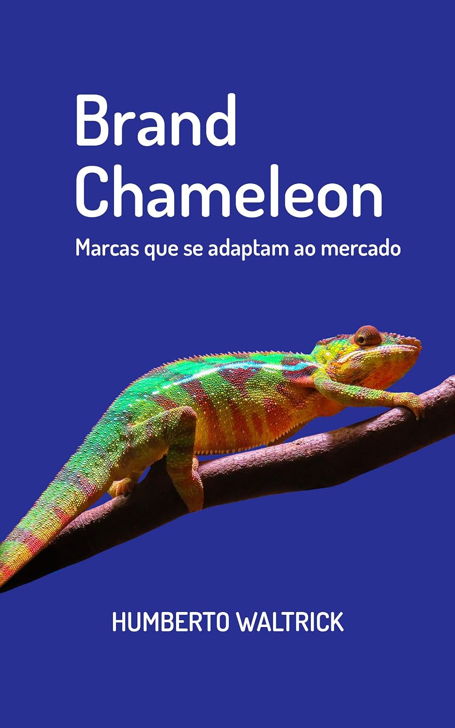 Brand Chameleon: marcas que se adaptam ao mercado baixar livro de graça