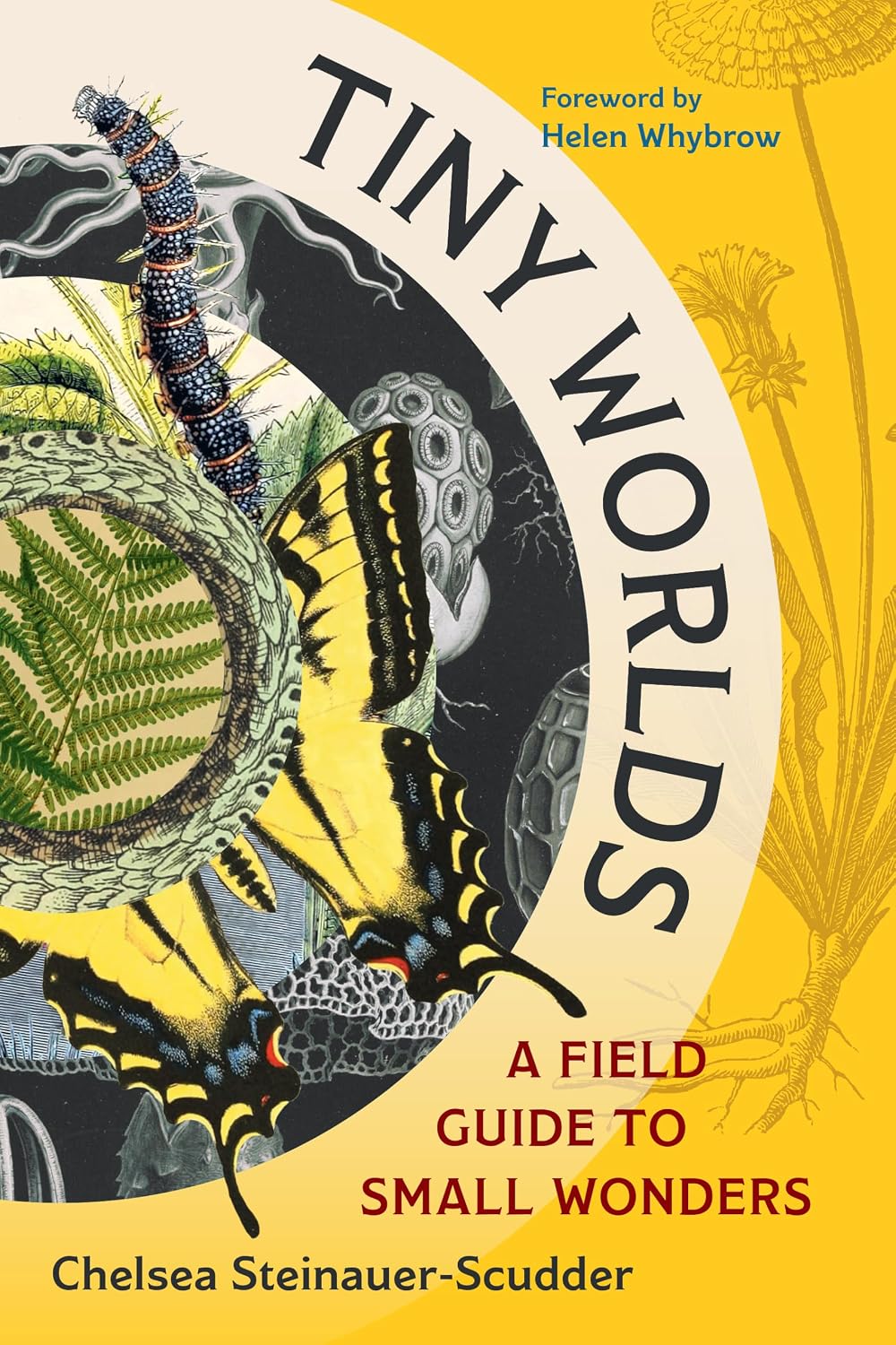 ler totalmente Tiny Worlds: A Field Guide to Small Wonders (English Edition)