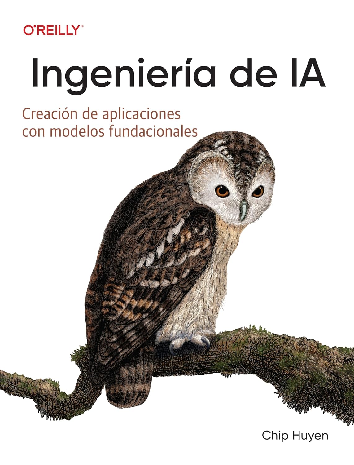 Ingeniería de IA (Spanish Edition): Creación de aplicaciones con modelos fundacionales baixar o livro de graça