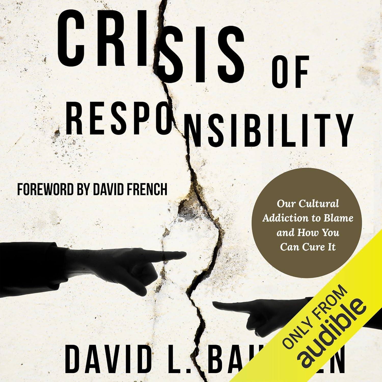 ler totalmente Crisis of Responsibility: Our Cultural Addiction to Blame and How You Can Cure It