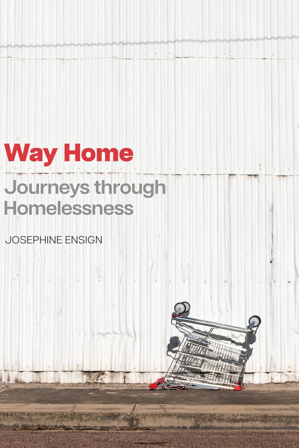 ler totalmente Way Home: Journeys through Homelessness (English Edition)
