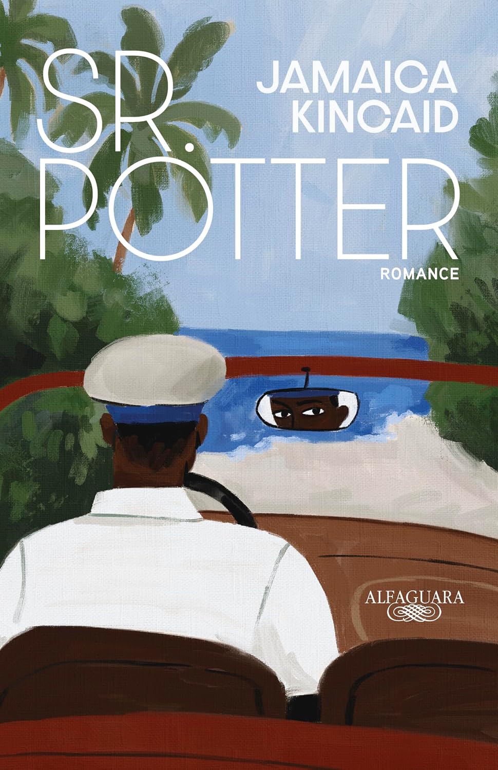 Sr. Potter baixar livro de graça