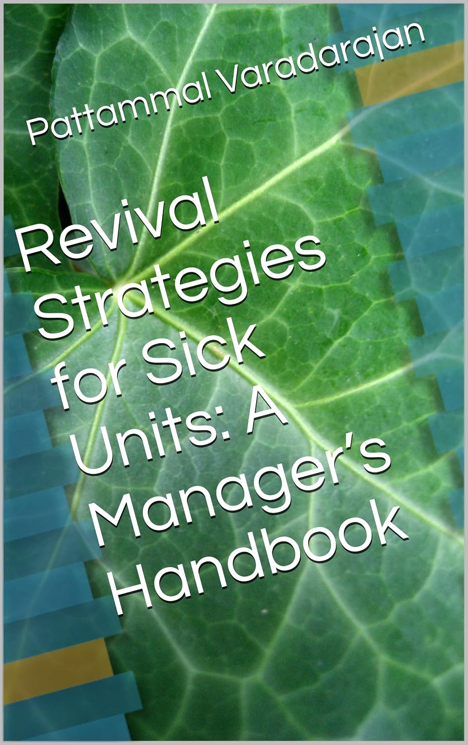 ler totalmente Revival Strategies for Sick Units: A Manager’s Handbook (Management & Strategy 4) (English Edition)