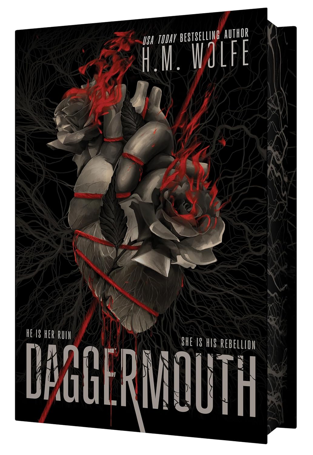 Daggermouth: 1 baixar livro de graça