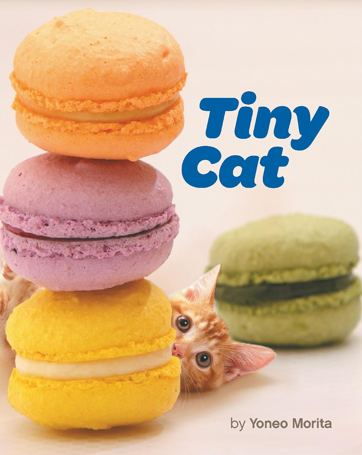 Tiny Cat (English Edition)