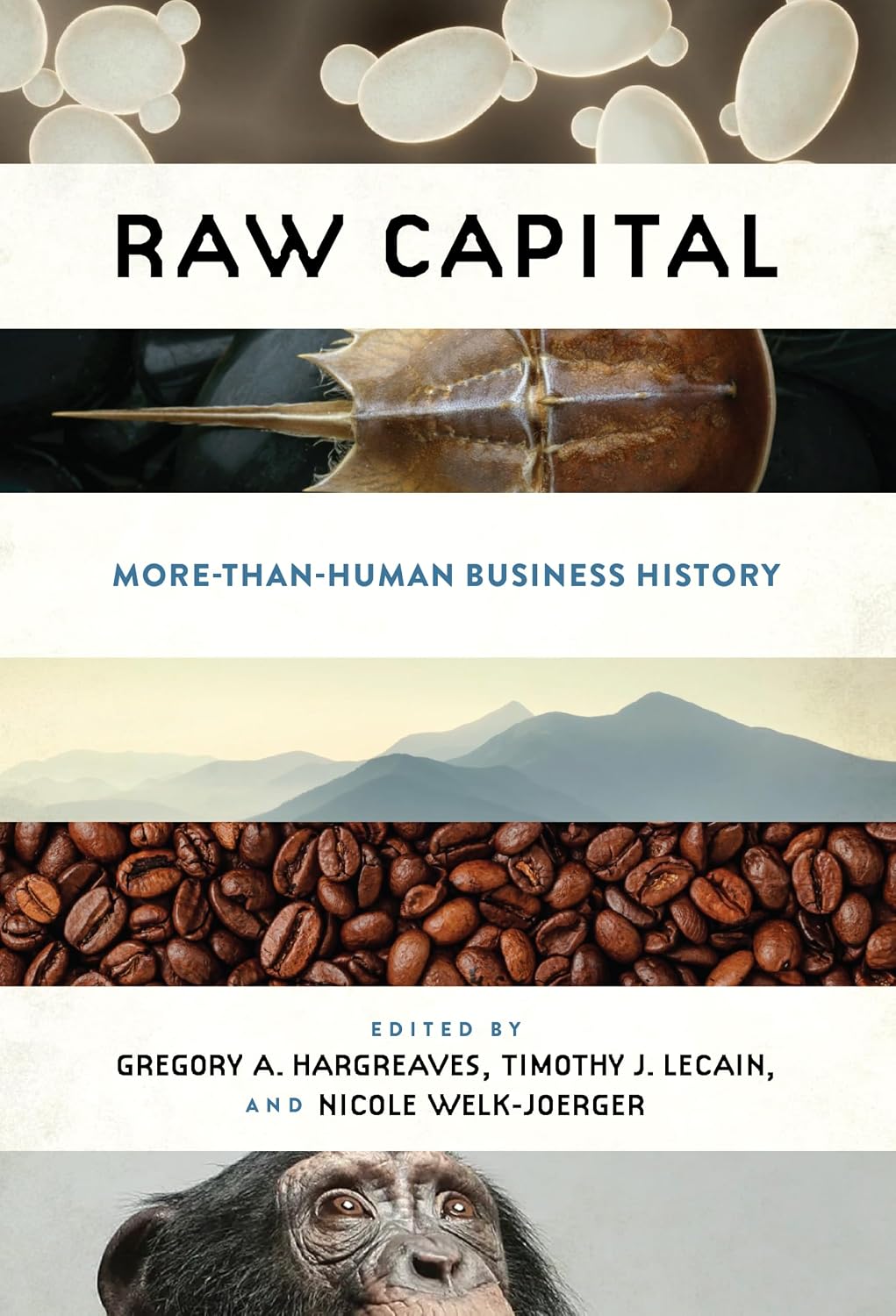 Raw Capital: More-Than-Human Business History (Hagley Perspectives on Business and Culture) (English Edition) baixar o livro de graça
