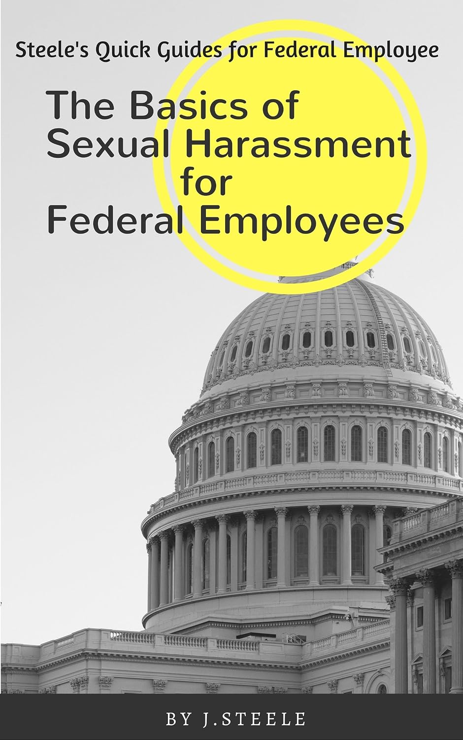 The Basics of Sexual Harassment for Federal Employees (Steele’s Quick Guides for Federal Employees Book 2) (English Edition) baixar livro de graça