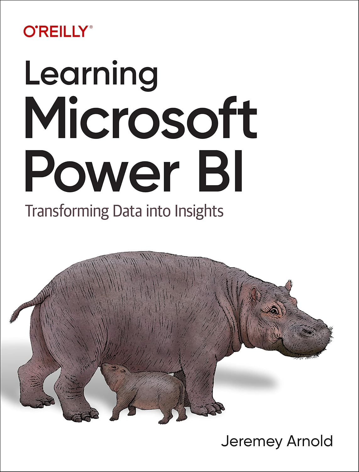 capítulo por capítulo baixar Learning Microsoft Power Bi: Transforming Data Into Insights
