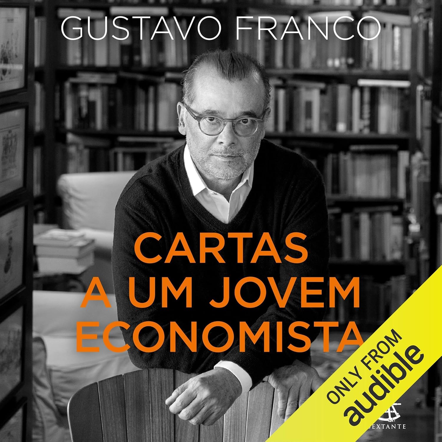 Cartas a um jovem economista
