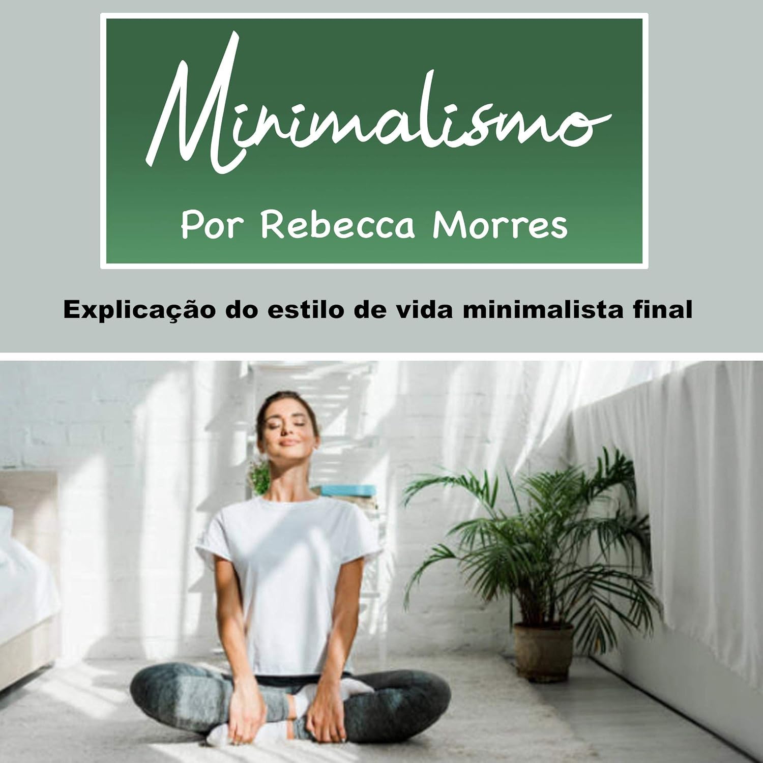 Minimalismo: Explicação do Estilo de Vida Minimalista Final baixar livro de graça