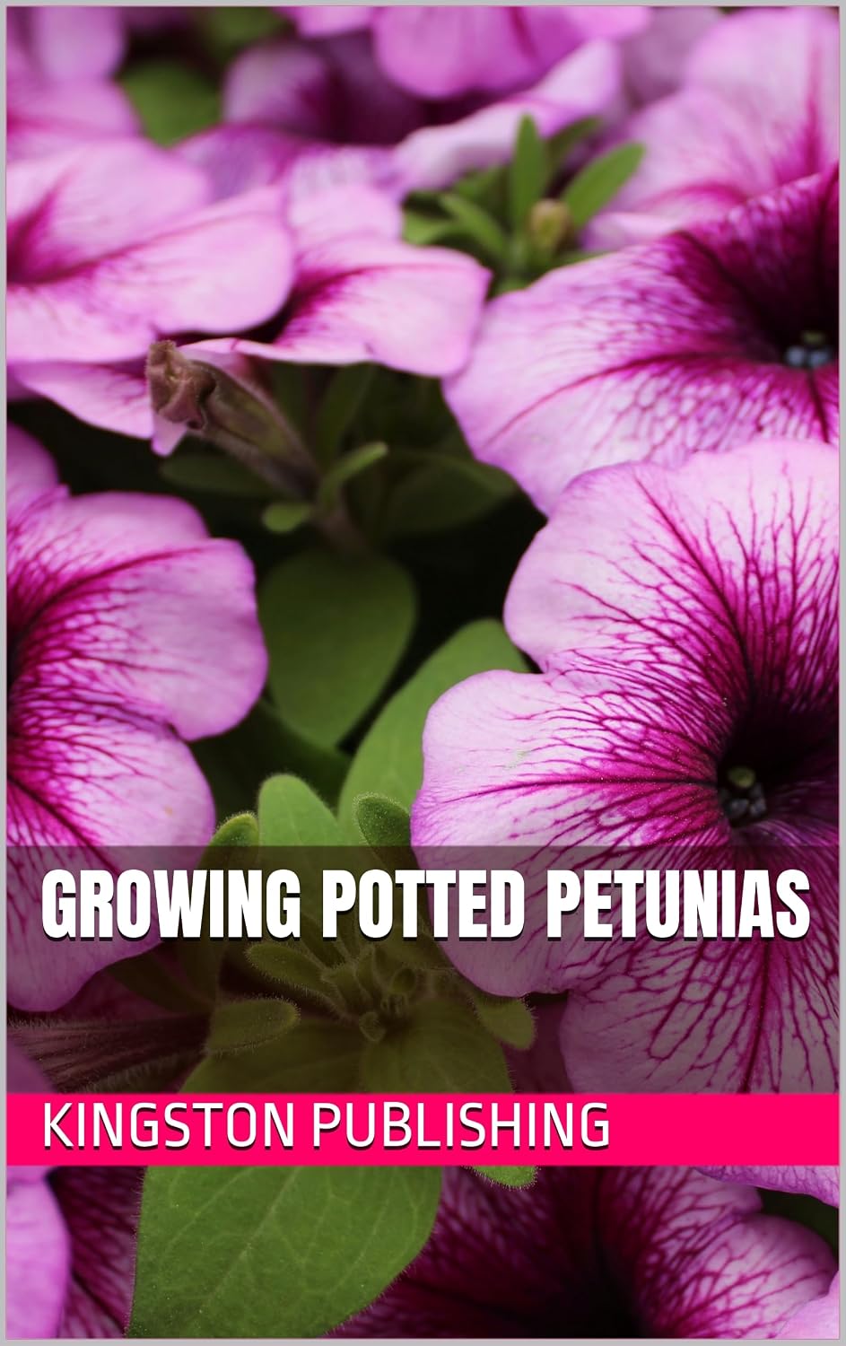 ler totalmente Growing Potted Petunias (Stunning Potted Flowers) (English Edition)