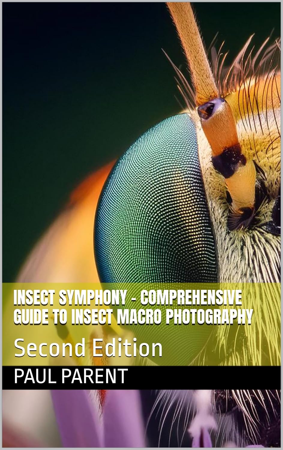 ler totalmente Insect Symphony - Comprehensive Guide to Insect Macro Photography: Second Edition (Photography Guide) (English Edition)