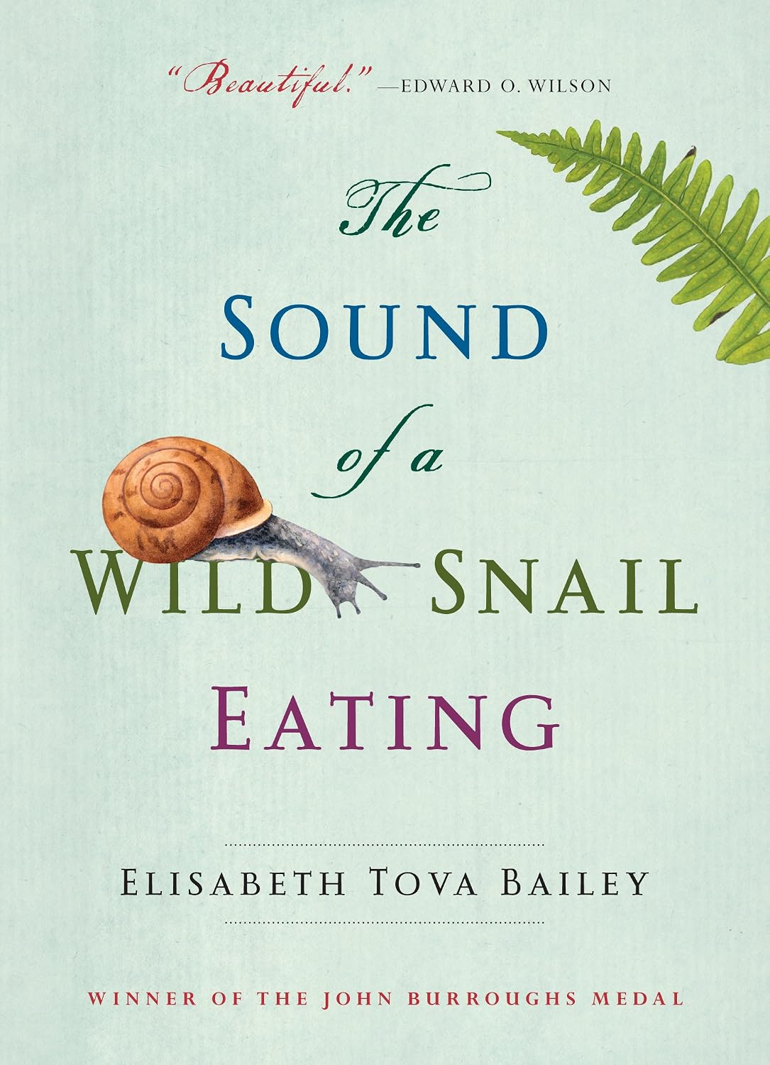 capítulo por capítulo baixar The Sound of a Wild Snail Eating