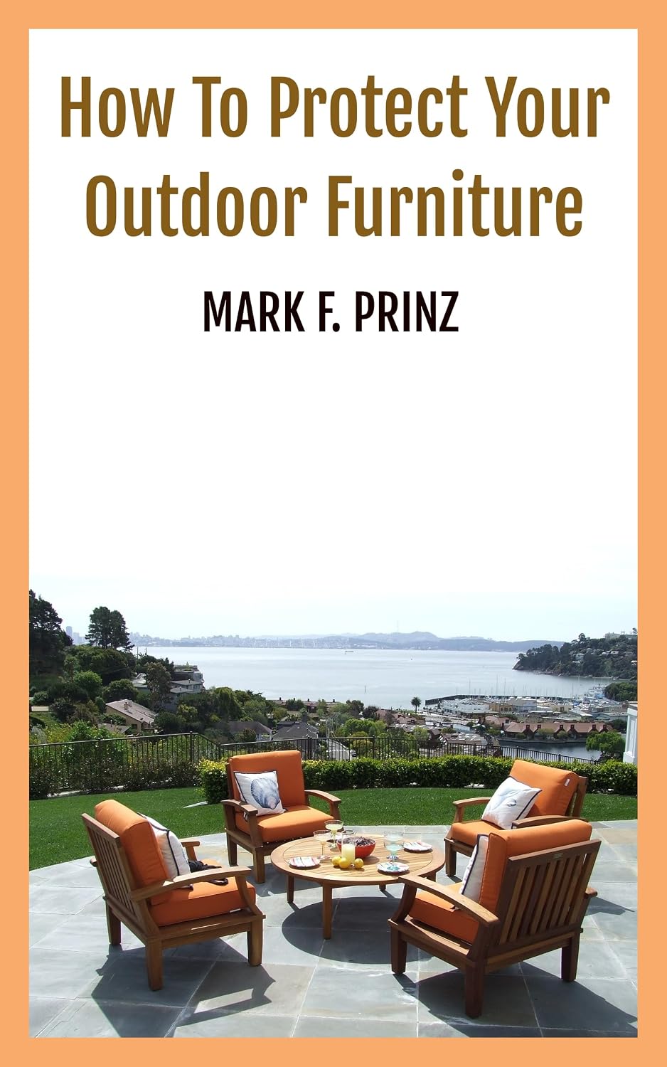 ler totalmente How To Protect Your Outdoor Furniture (Furniture Care) (English Edition)