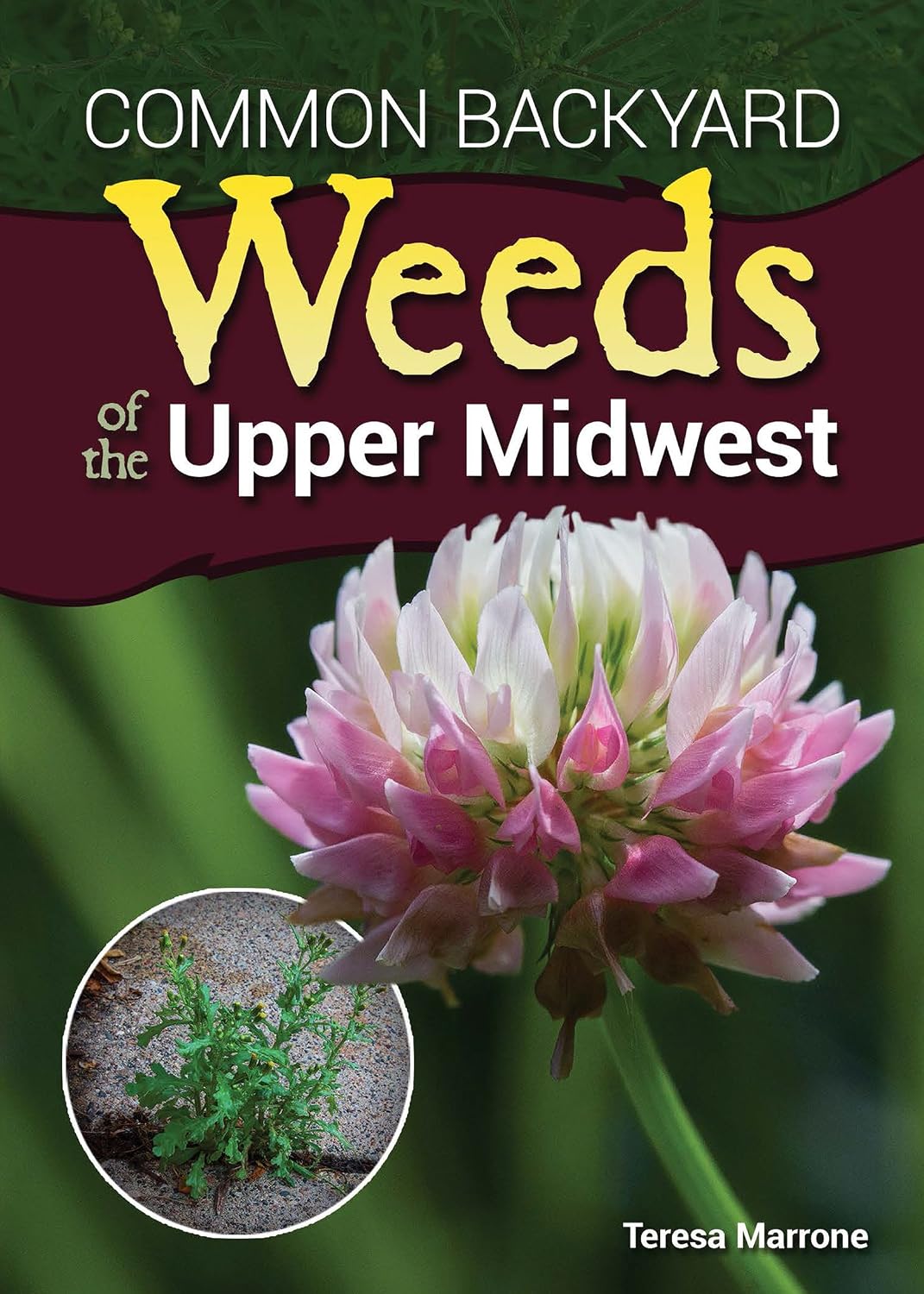 Common Backyard Weeds of the Upper Midwest (English Edition) baixar livro de graça