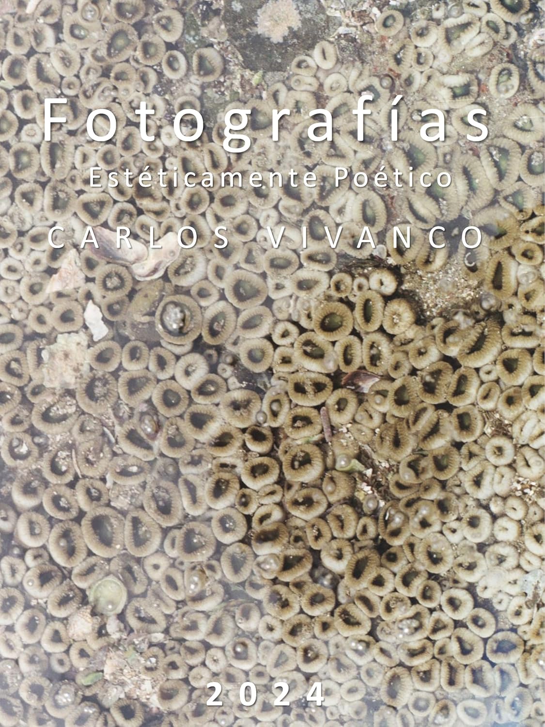 FOTOGRAFÍAS: estéticamente poético (Spanish Edition) baixar o livro de graça