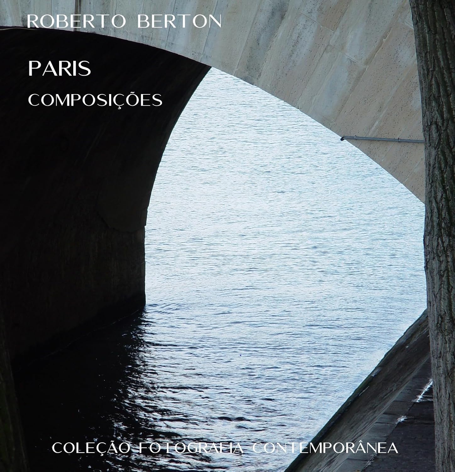 Paris: composições (Coleção Fotografia Contemporânea) baixar livro de graça