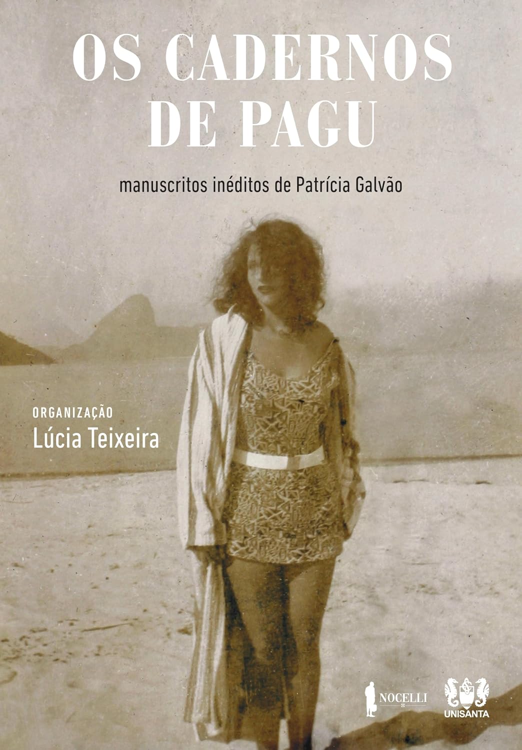 capítulo por capítulo baixar Os cadernos de Pagu: manuscritos de Patrícia Galvão
