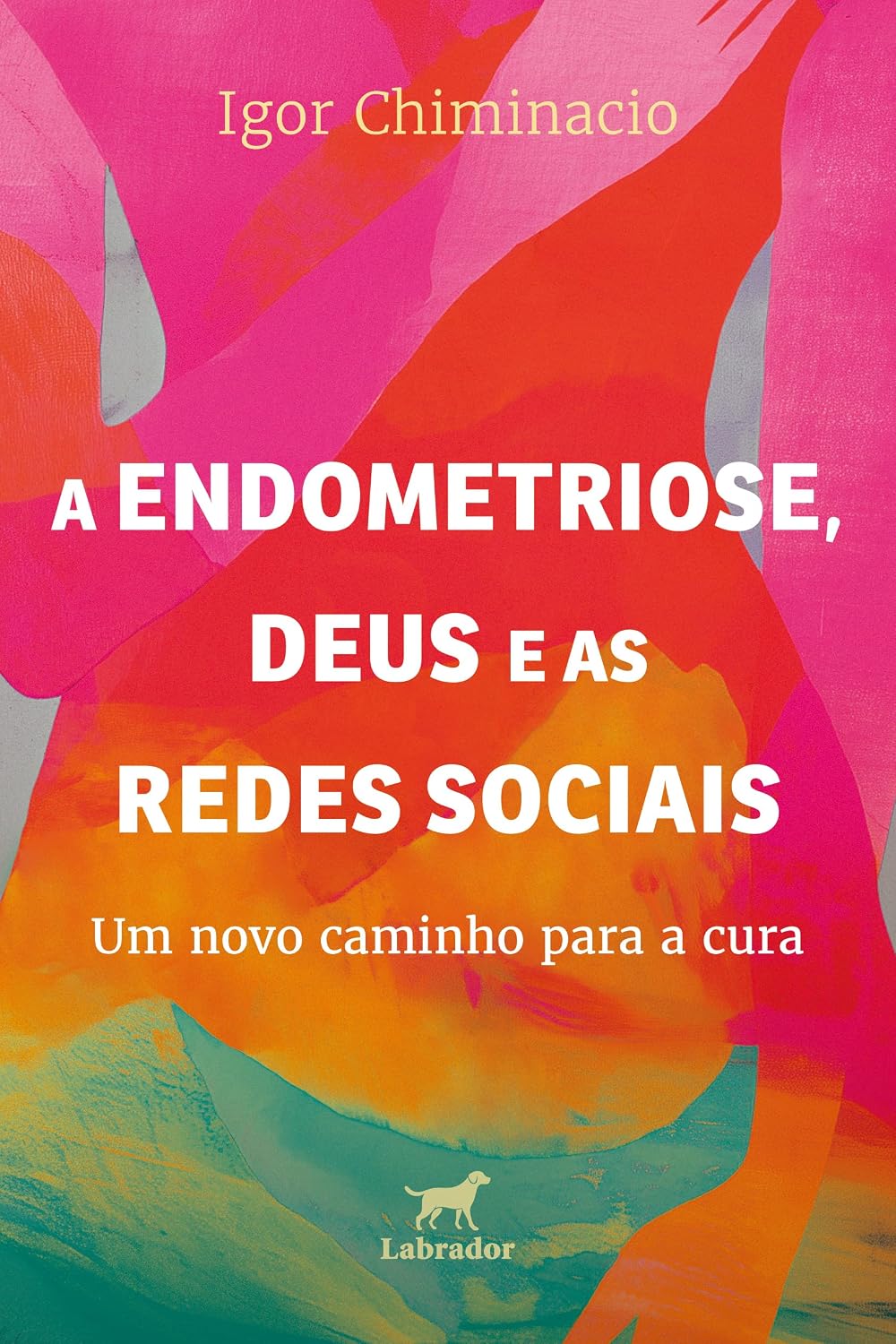A endometriose, Deus e as redes sociais: um novo caminho para a cura baixar o livro de graça