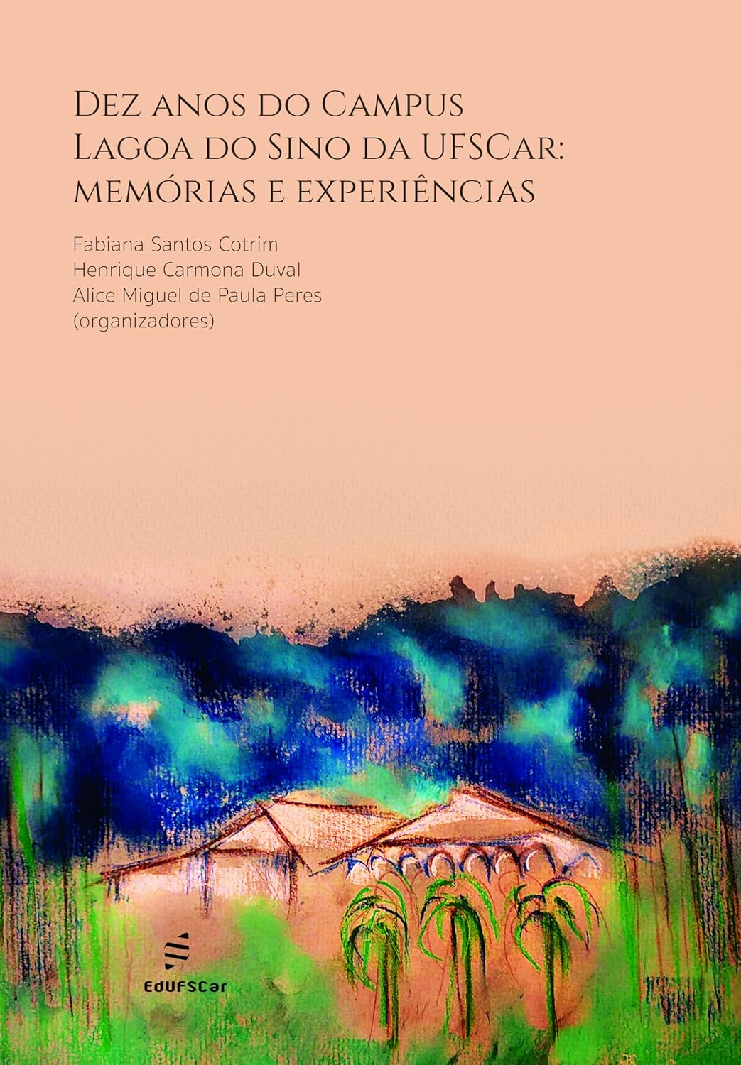 capítulo por capítulo baixar Dez anos do Campus Lagoa do Sino da UFSCar: memórias e experiências