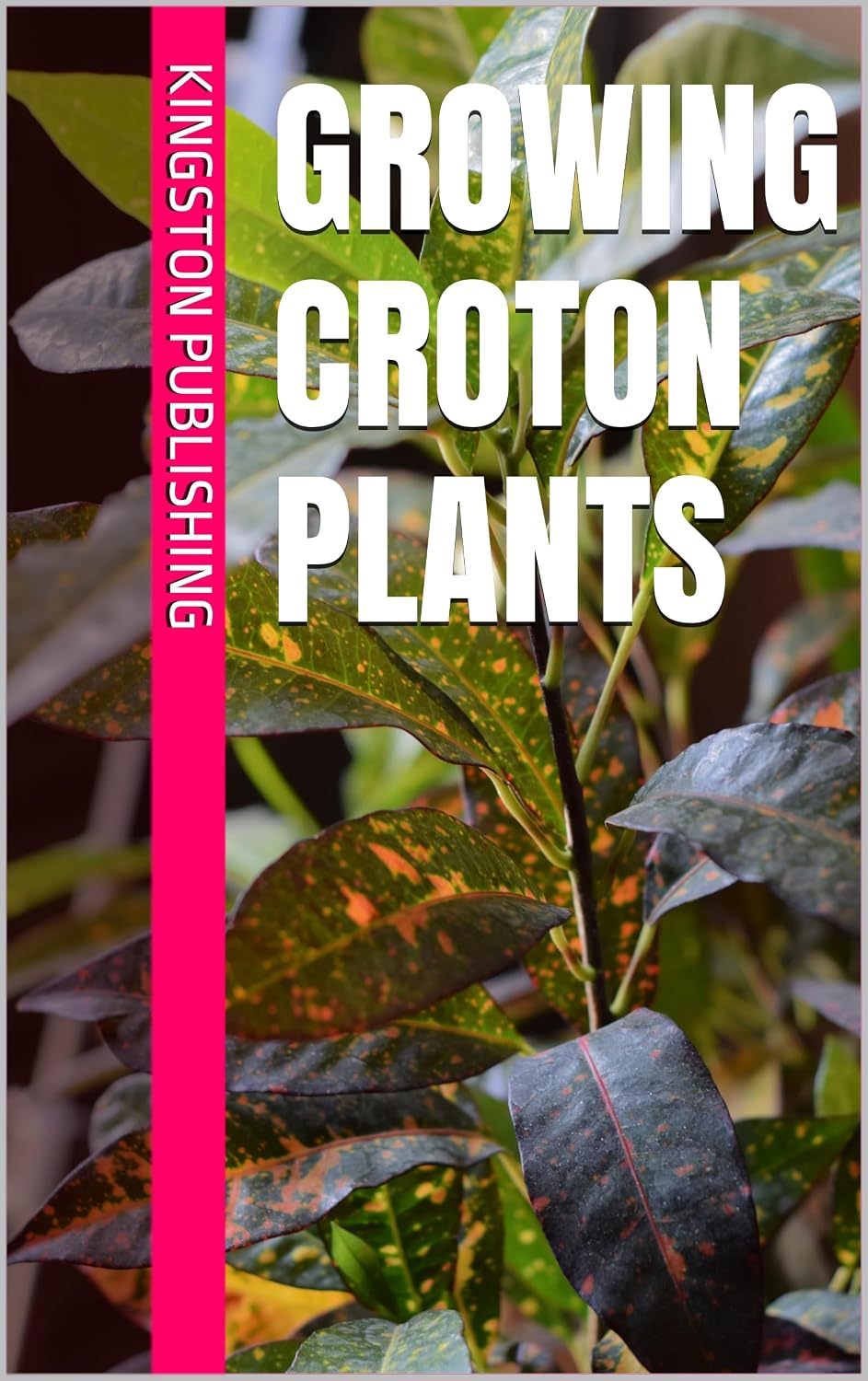 Growing Croton Plants (Landscaping Ideas) (English Edition)