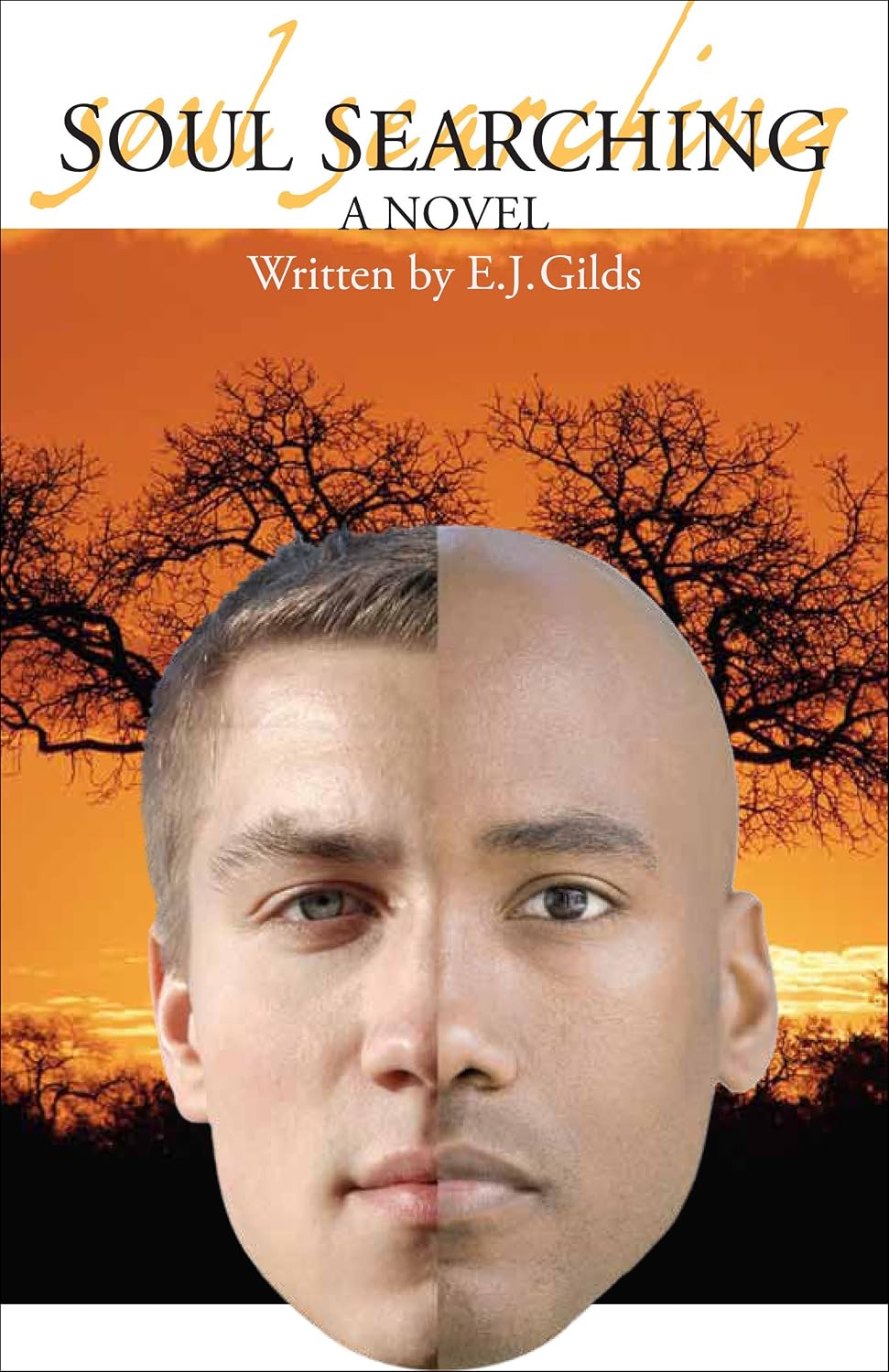 Soul Searching: 90 baixar livro de graça