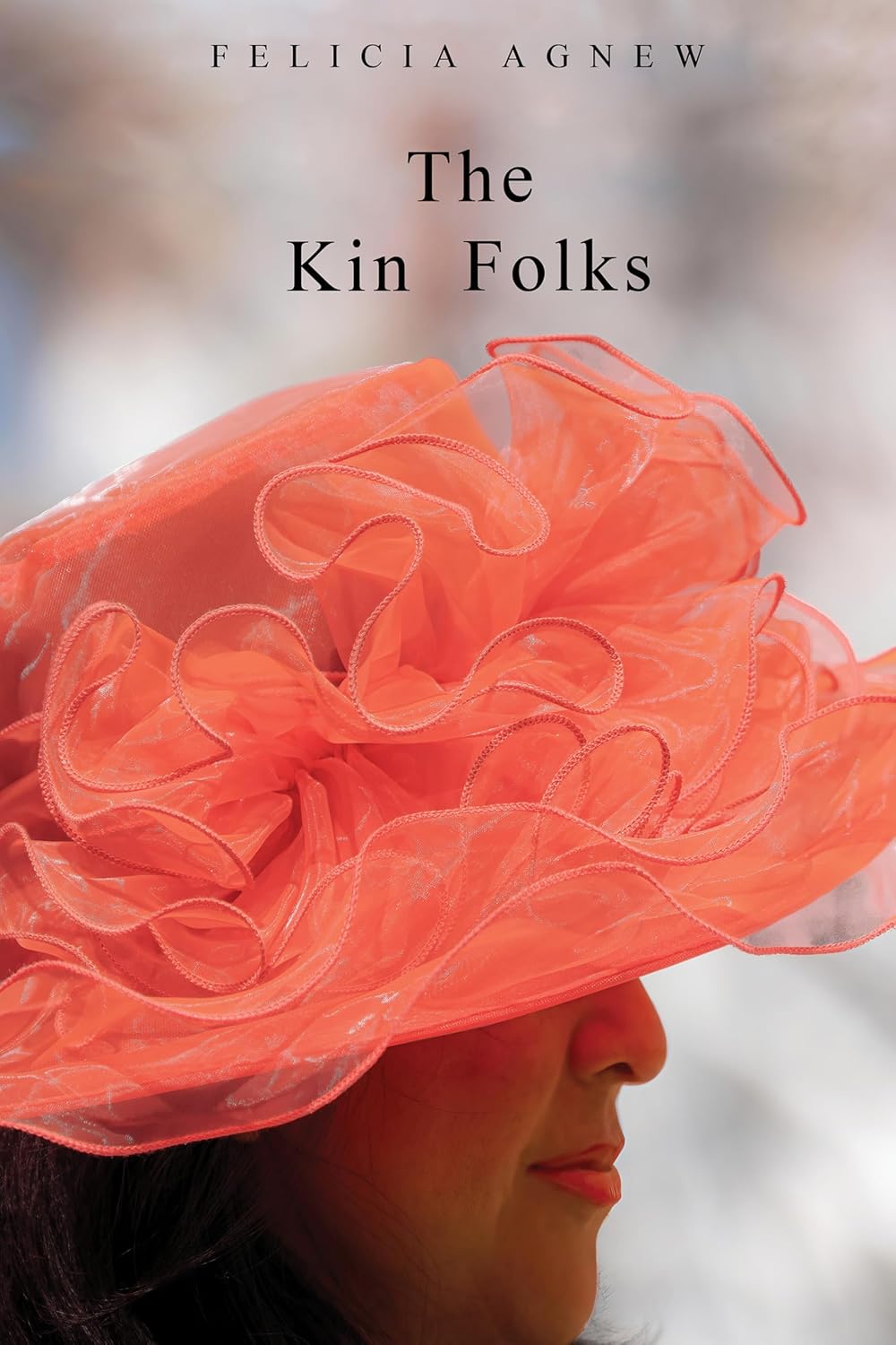 ler totalmente The Kin Folks (English Edition)