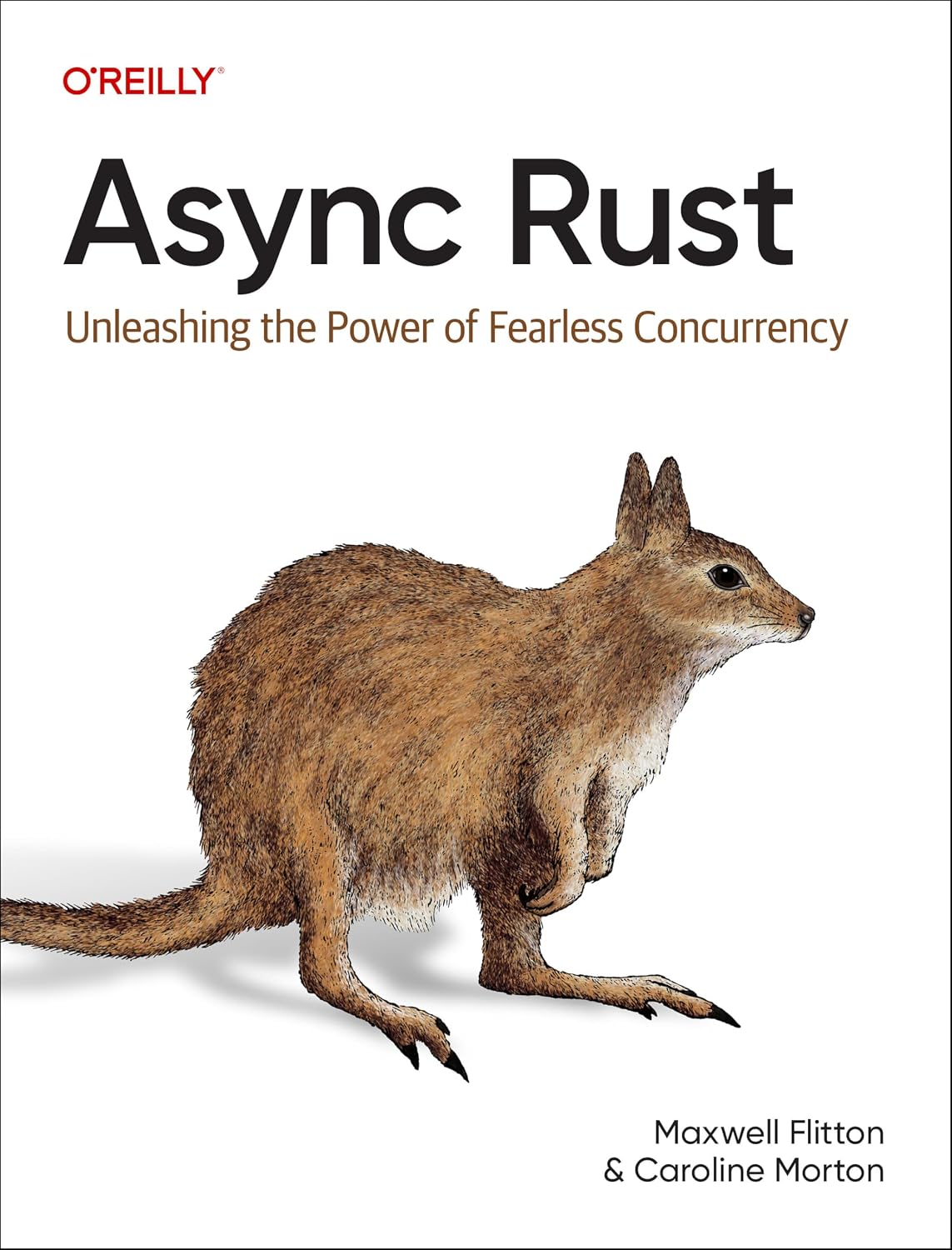 ASYNC Rust: Unleashing the Power of Fearless Concurrency baixar livro de graça
