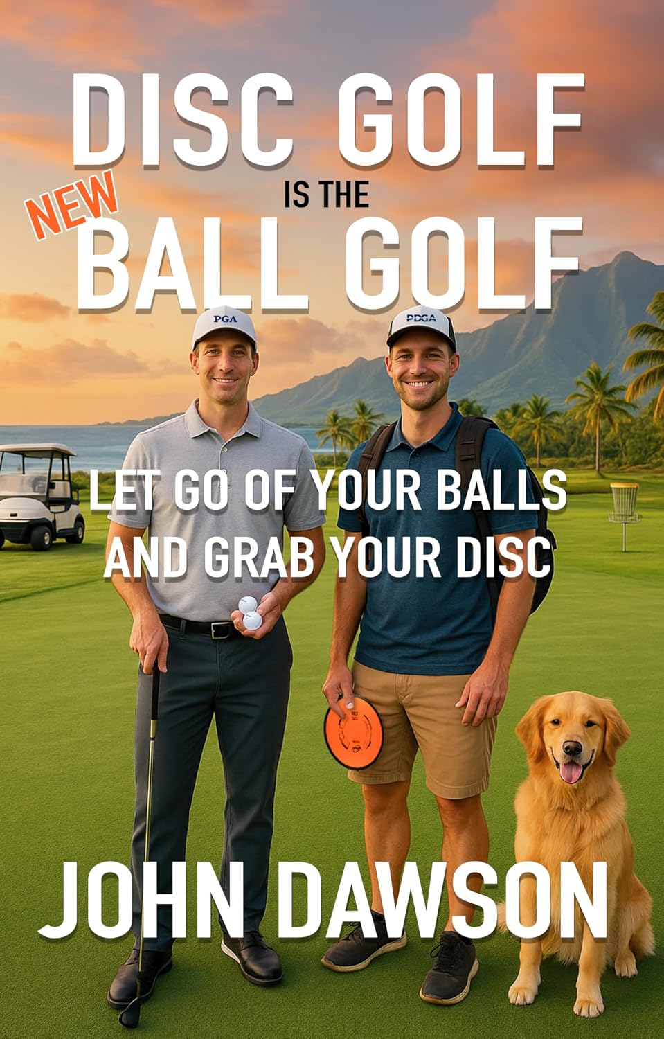 Disc Golf is the New Ball Golf: Let Go of Your Balls and Grab Your Disc (English Edition) baixar livro de graça