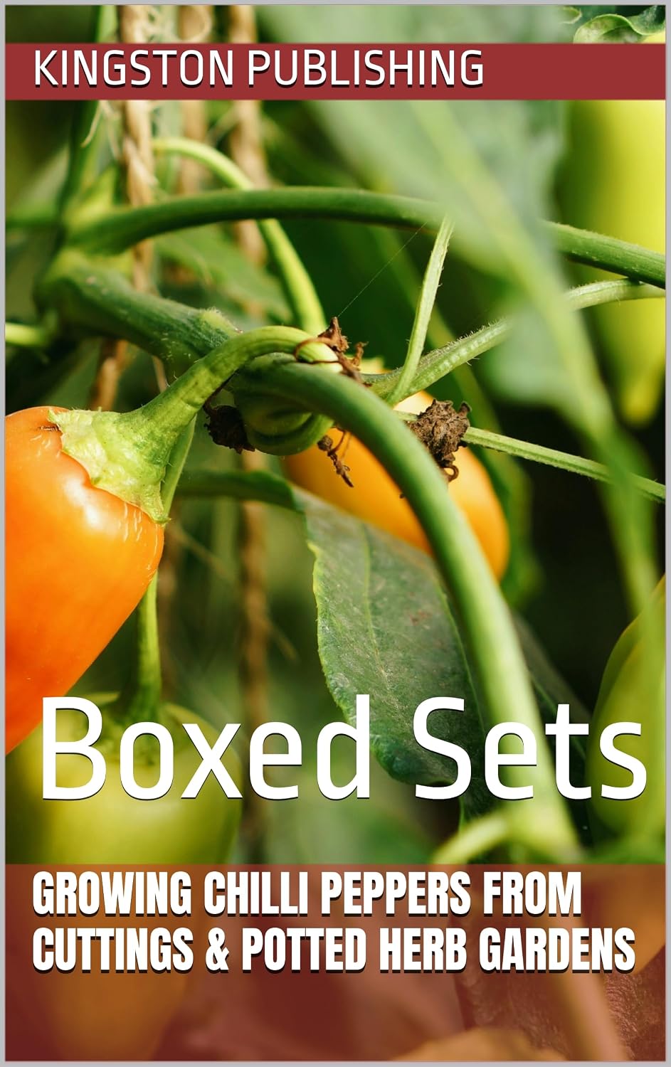 capítulo por capítulo baixar Growing Chilli Peppers From Cuttings & Potted Herb Gardens: Boxed Sets (Growing Vegetables in Pots) (English Edition)