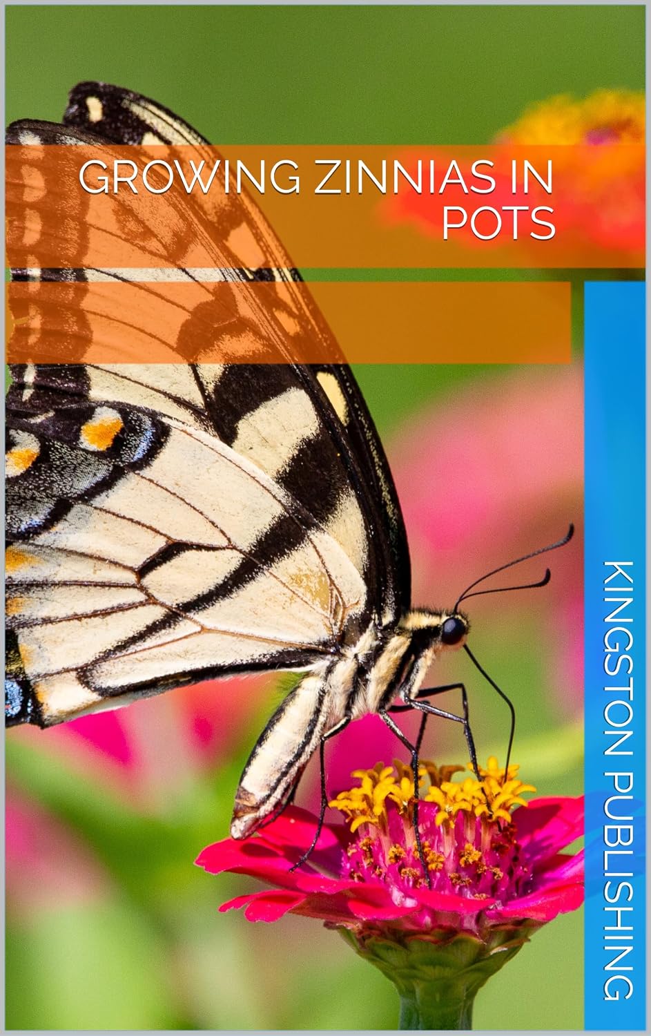 Growing Lively Zinnias in Pots (Flowers) (English Edition) baixar livro de graça