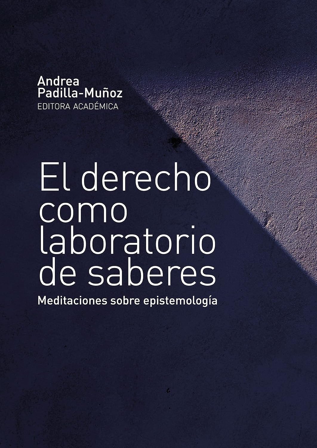 El derecho como laboratorio de saberes: Meditaciones sobre epistemología (Spanish Edition) baixar livro de graça