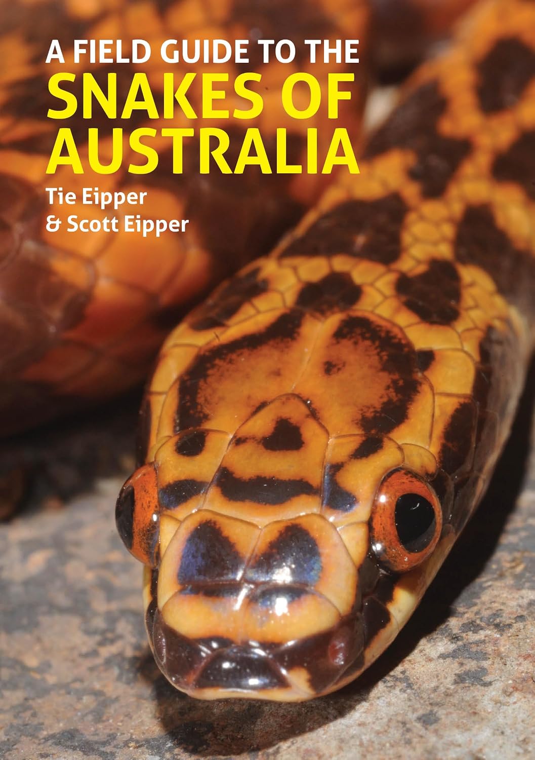 A Field Guide to the Snakes of Australia baixar o livro de graça