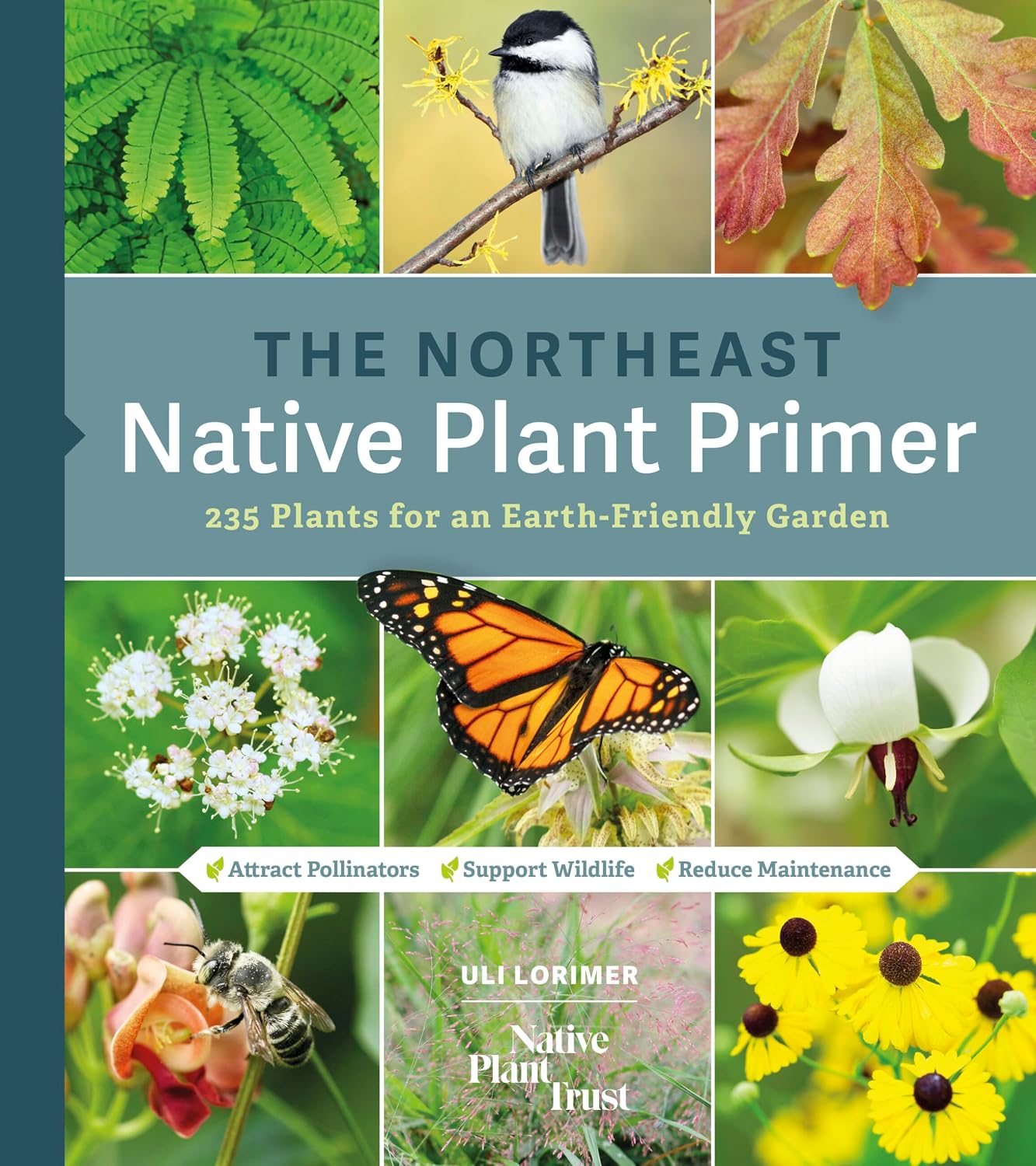 ler totalmente The Northeast Native Plant Primer: 235 Plants for an Earth-Friendly Garden (English Edition)