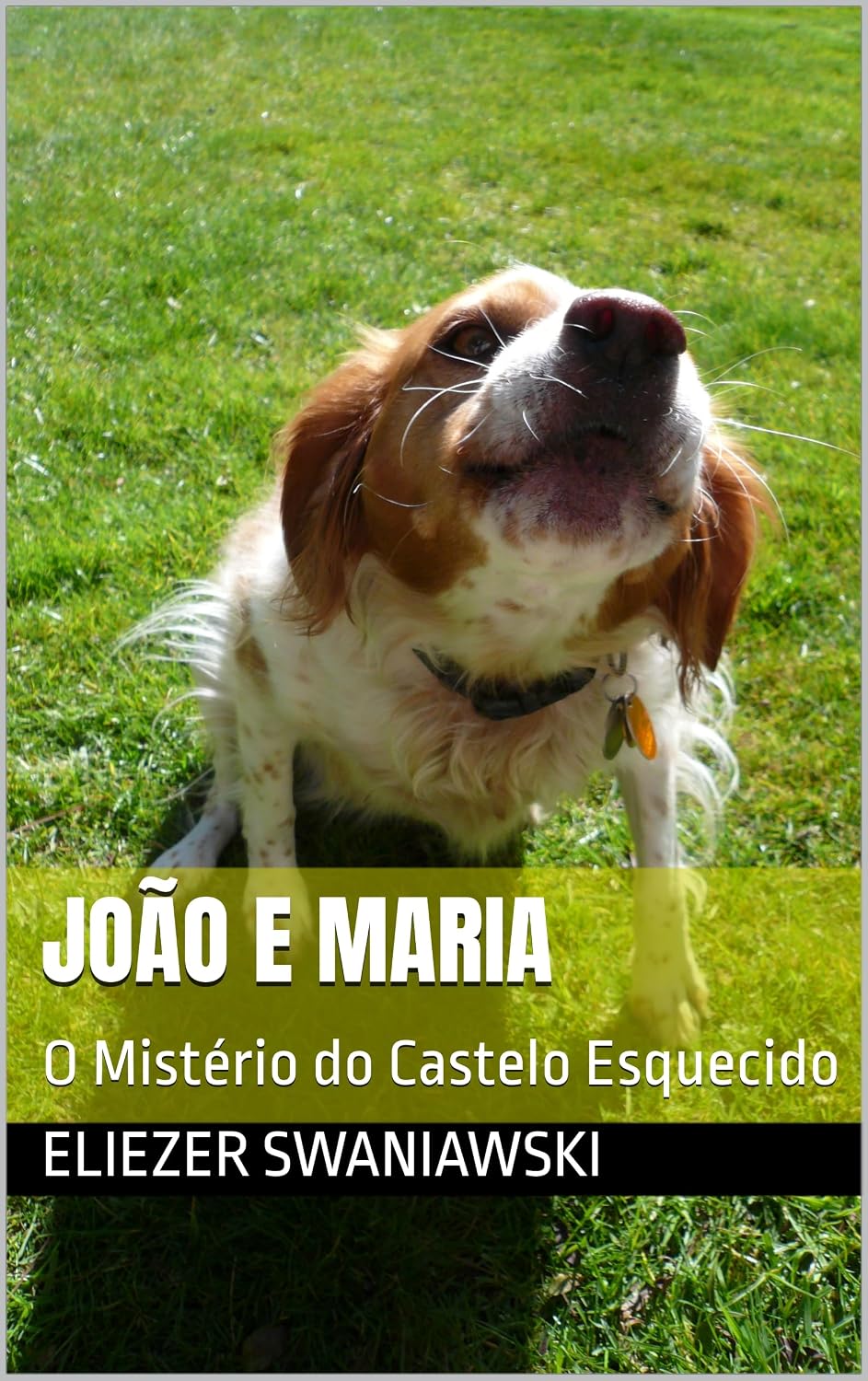 João e Maria: O Mistério do Castelo Esquecido baixar livro de graça