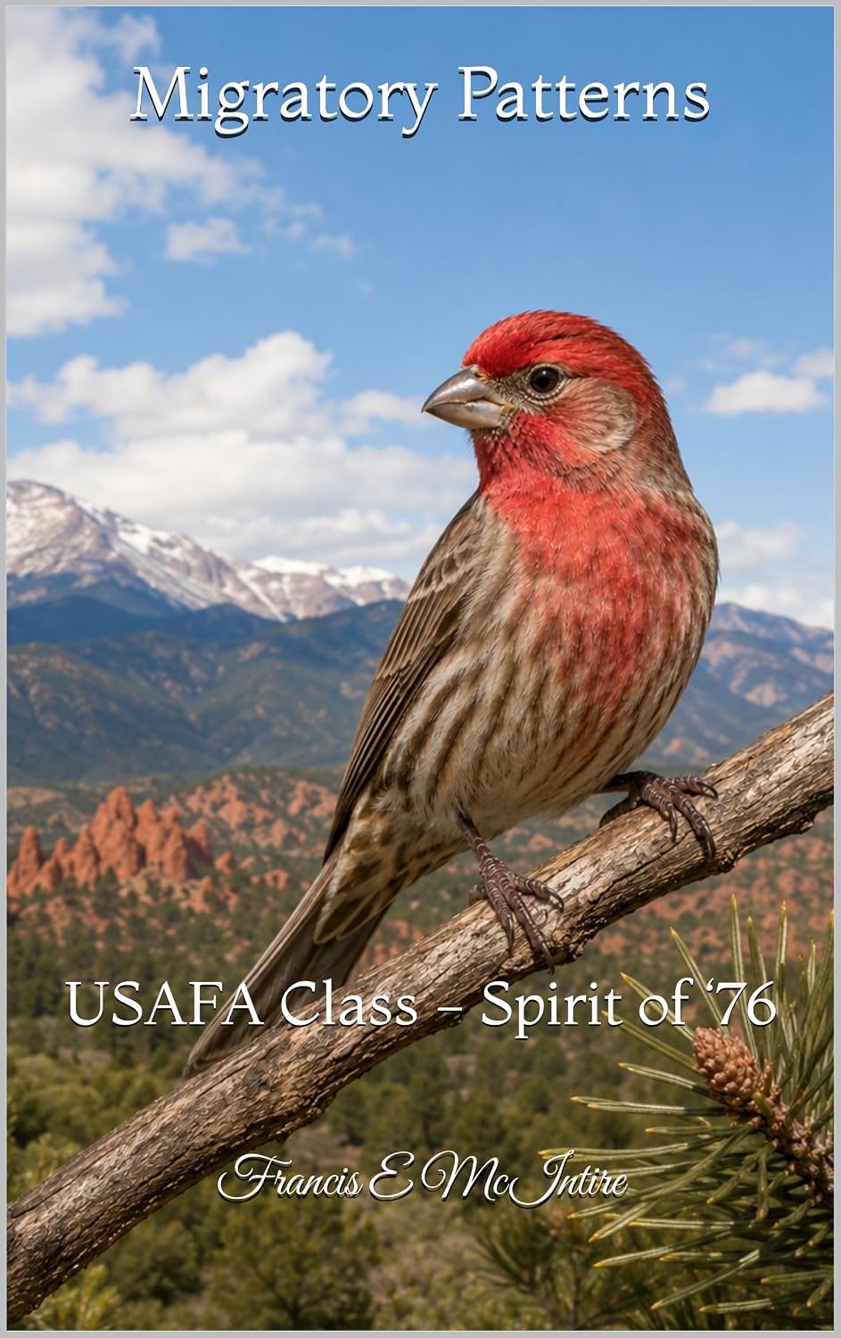 Migratory Patterns: USAFA Class - Spirit of ‘76 (English Edition)