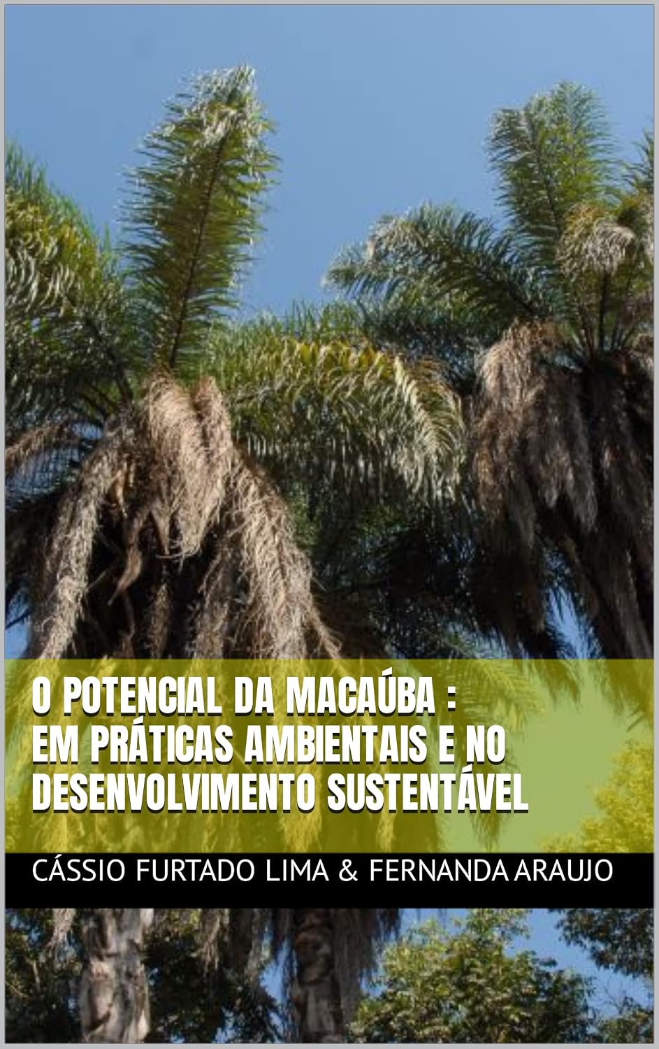 ler totalmente O potencial da Macaúba em práticas ambientais e no desenvolvimento sustentável