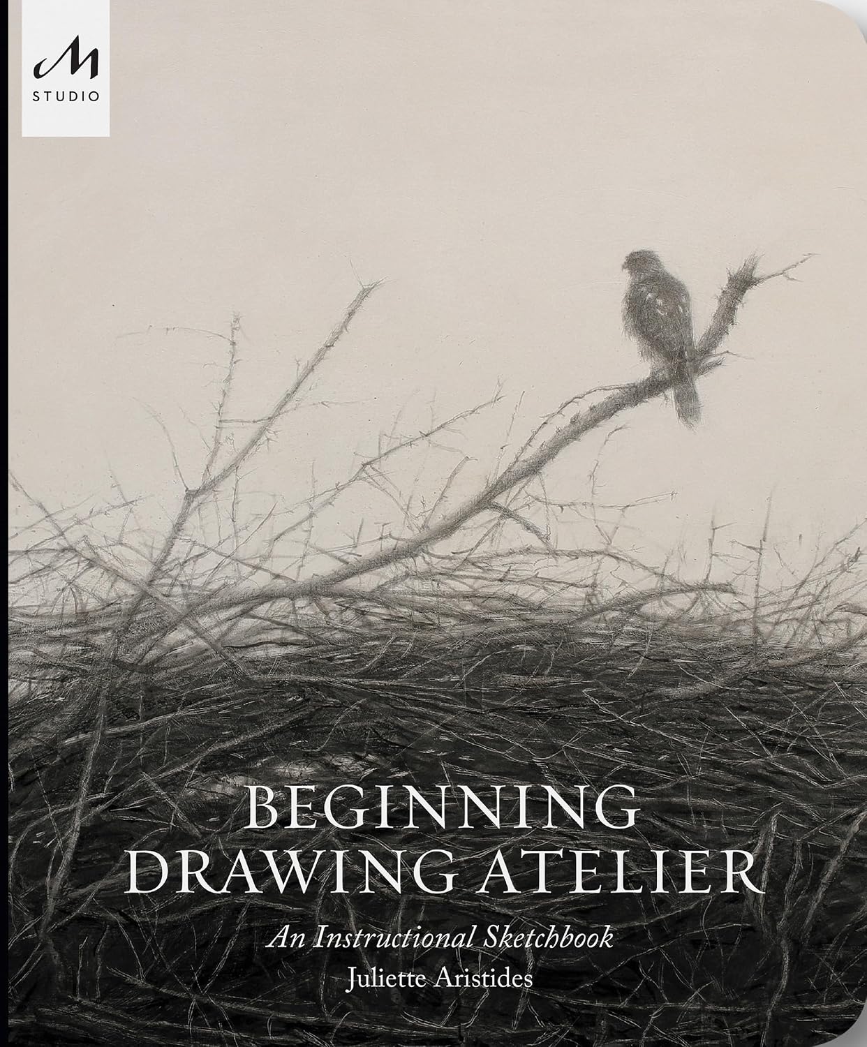 capítulo por capítulo baixar Beginning Drawing Atelier: An Instructional Sketchbook