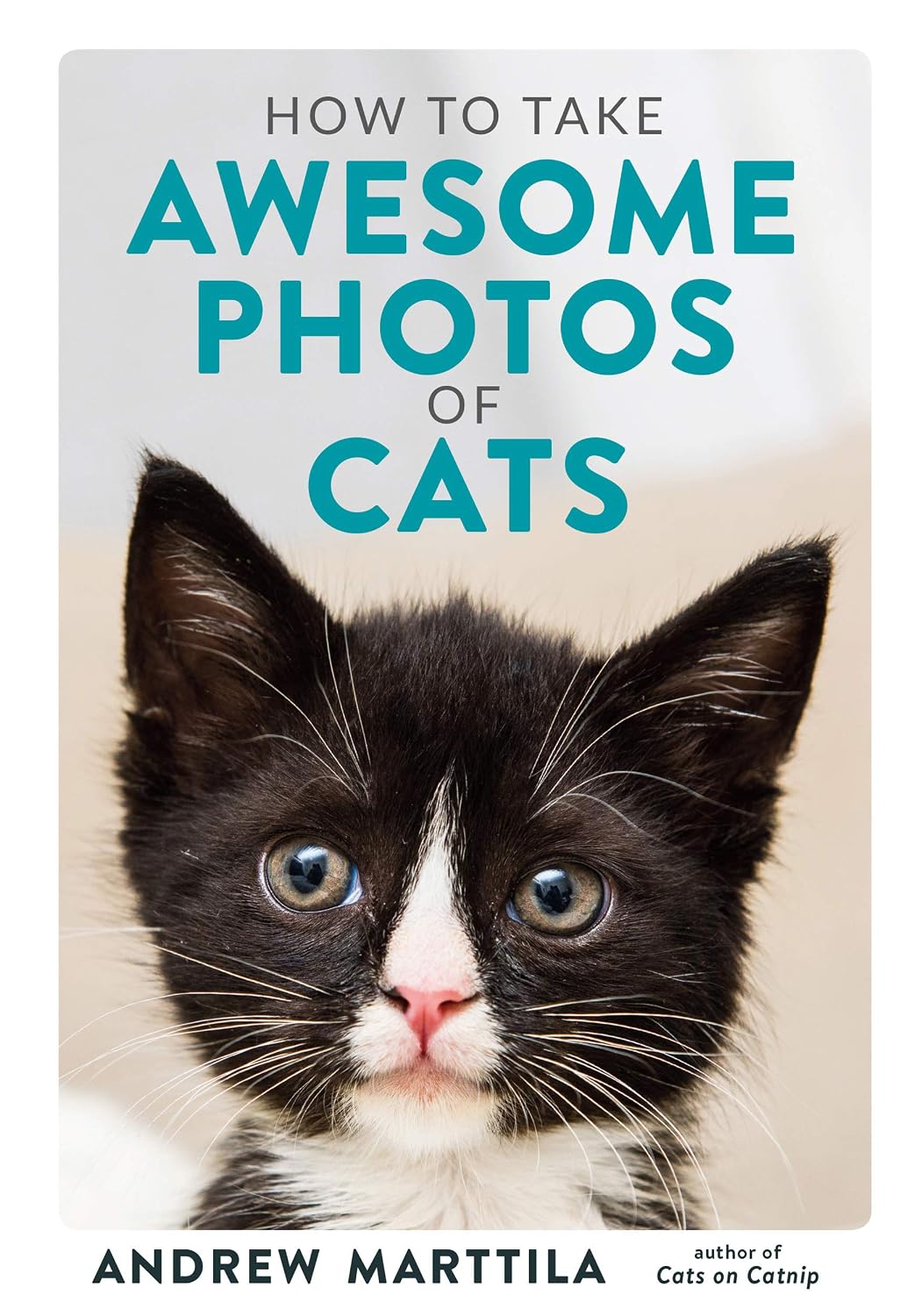 How to Take Awesome Photos of Cats (English Edition) baixar o livro de graça