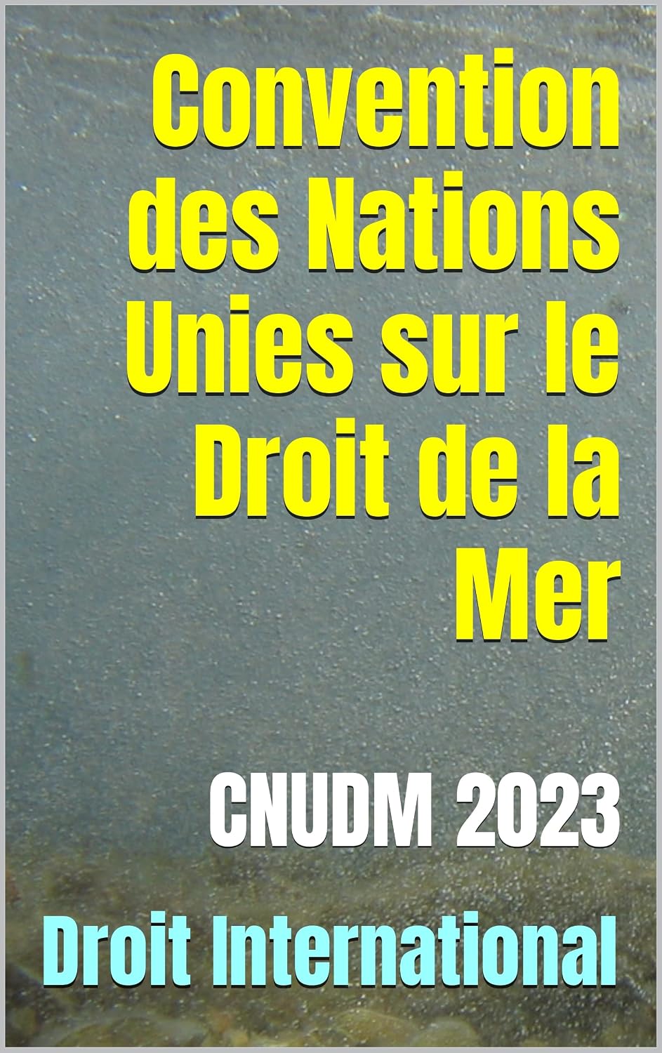 Convention des Nations Unies sur le Droit de la Mer: CNUDM 2023 (French Edition) baixar o livro de graça