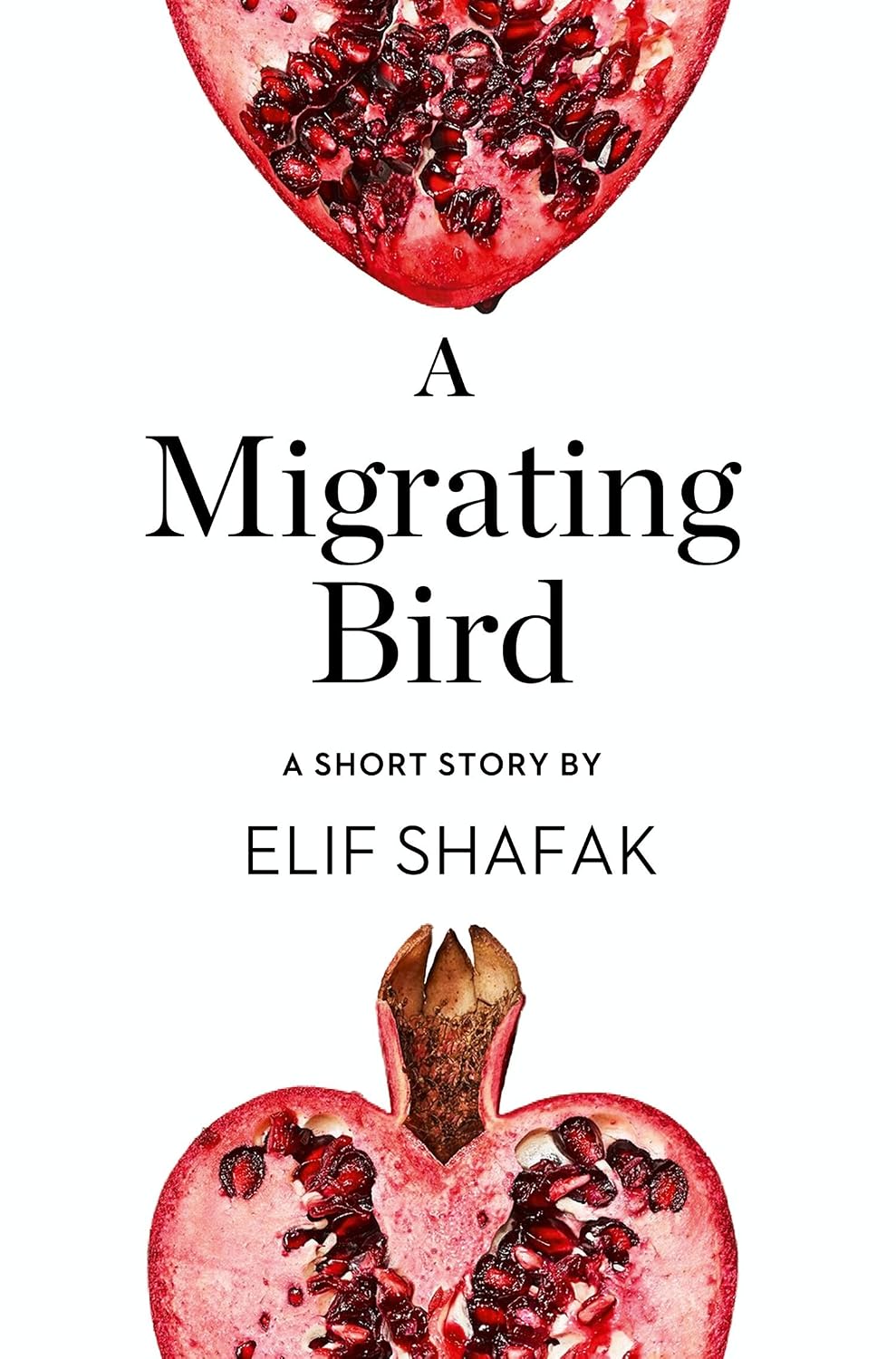 A Migrating Bird: A Short Story from the collection, Reader, I Married Him (English Edition) baixar o livro de graça