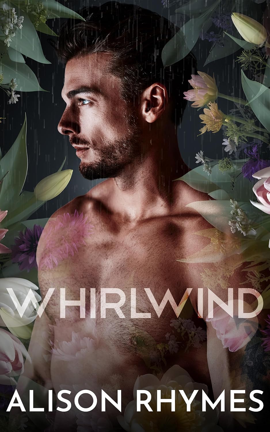 Whirlwind (Seattle Blades Book 4) (English Edition)
