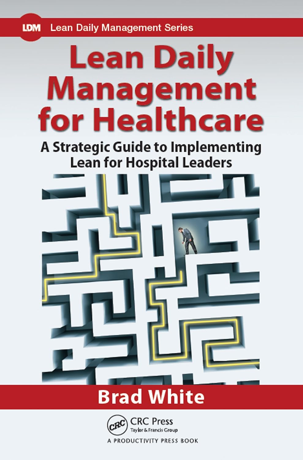Lean Daily Management for Healthcare: A Strategic Guide to Implementing Lean for Hospital Leaders (English Edition) baixar livro de graça