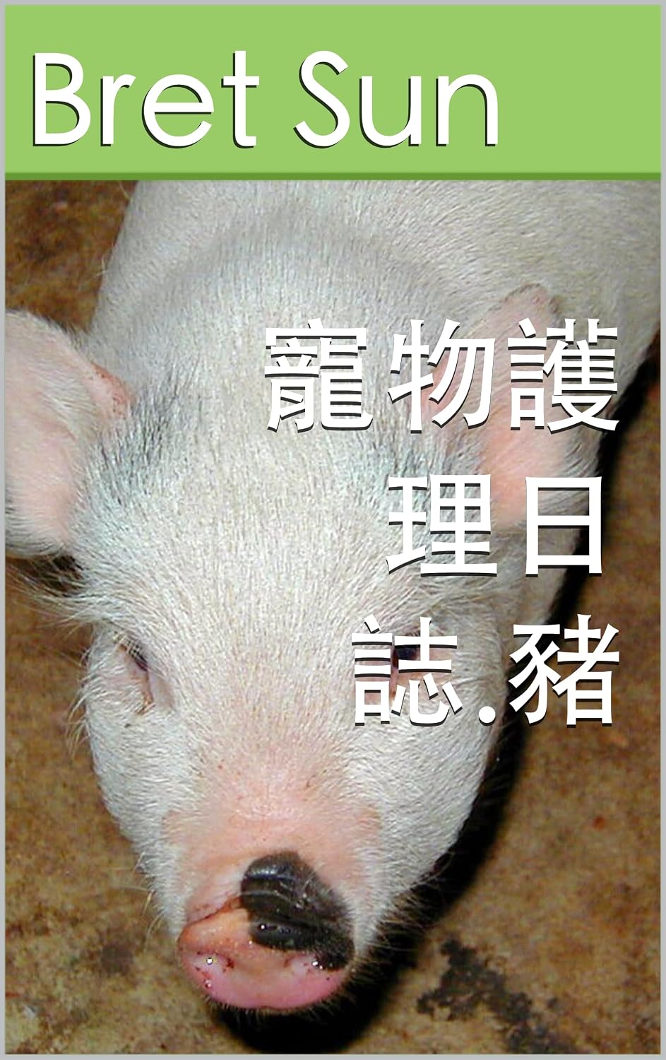 寵物護理日誌.豬 (Pet Care Log Book 25) (Traditional Chinese Edition) baixar o livro de graça
