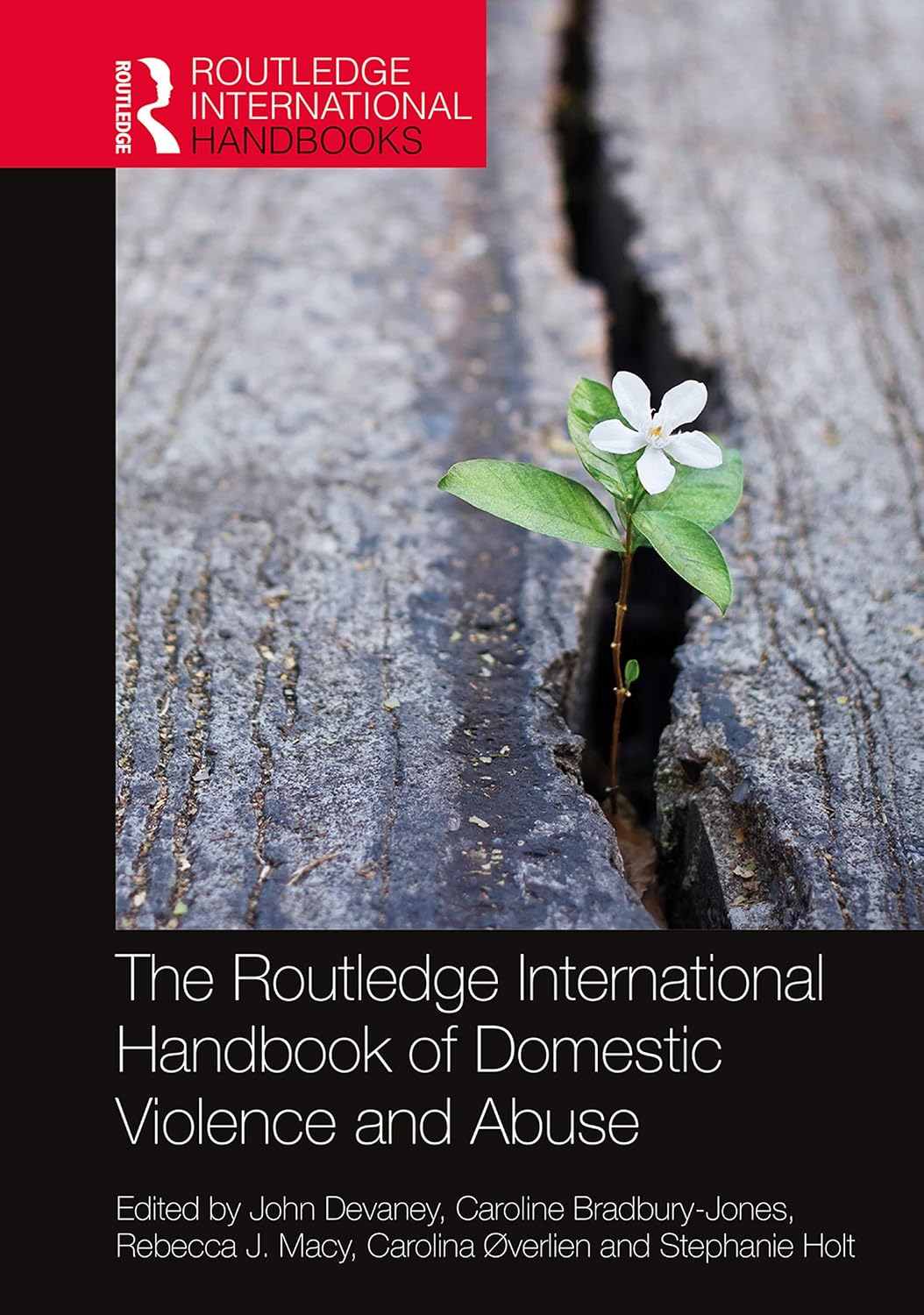 The Routledge International Handbook of Domestic Violence and Abuse (Routledge International Handbooks) (English Edition) baixar livro de graça