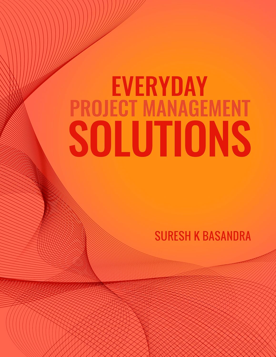 ler totalmente Everyday Project Management Solutions - Questions and Answers (English Edition)