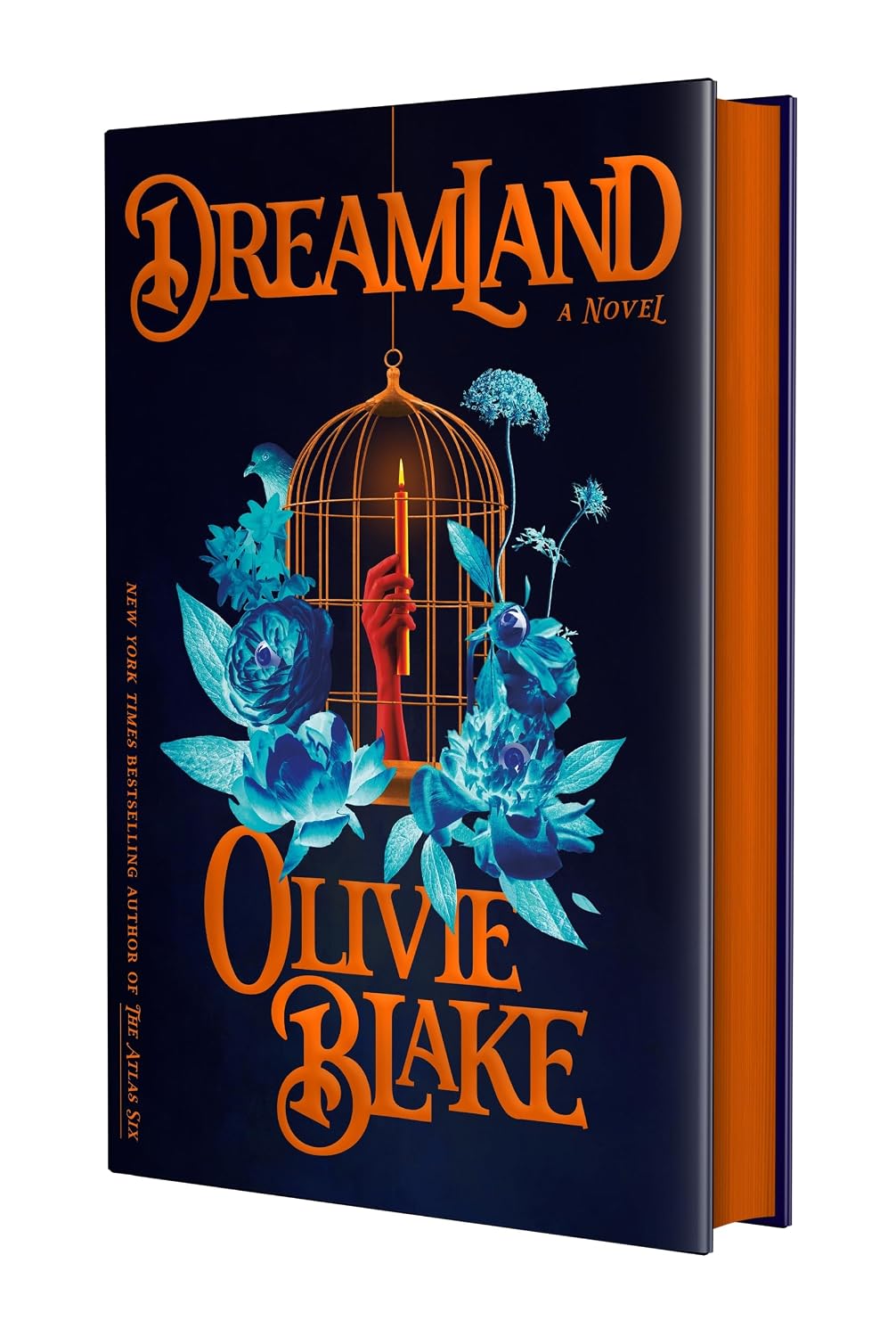 ler totalmente Dreamland: A Novel