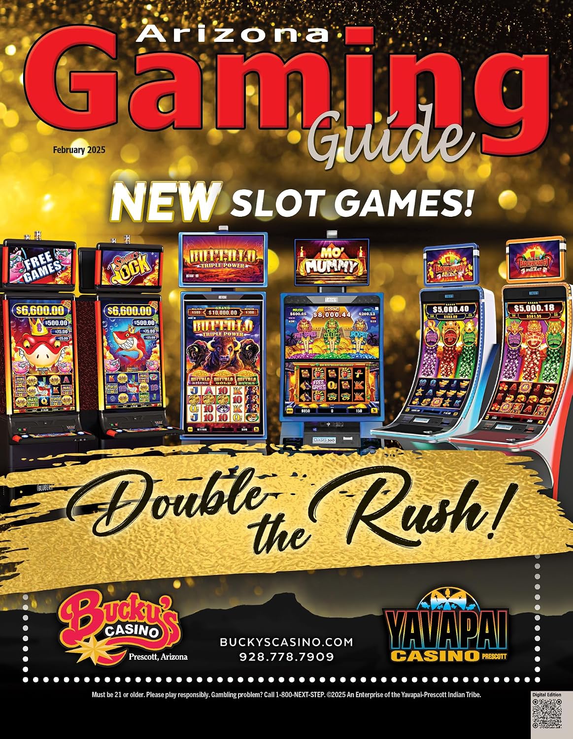 Arizona Gaming Guide Magazine - February 2025 - 17:02 (English Edition) baixar o livro de graça