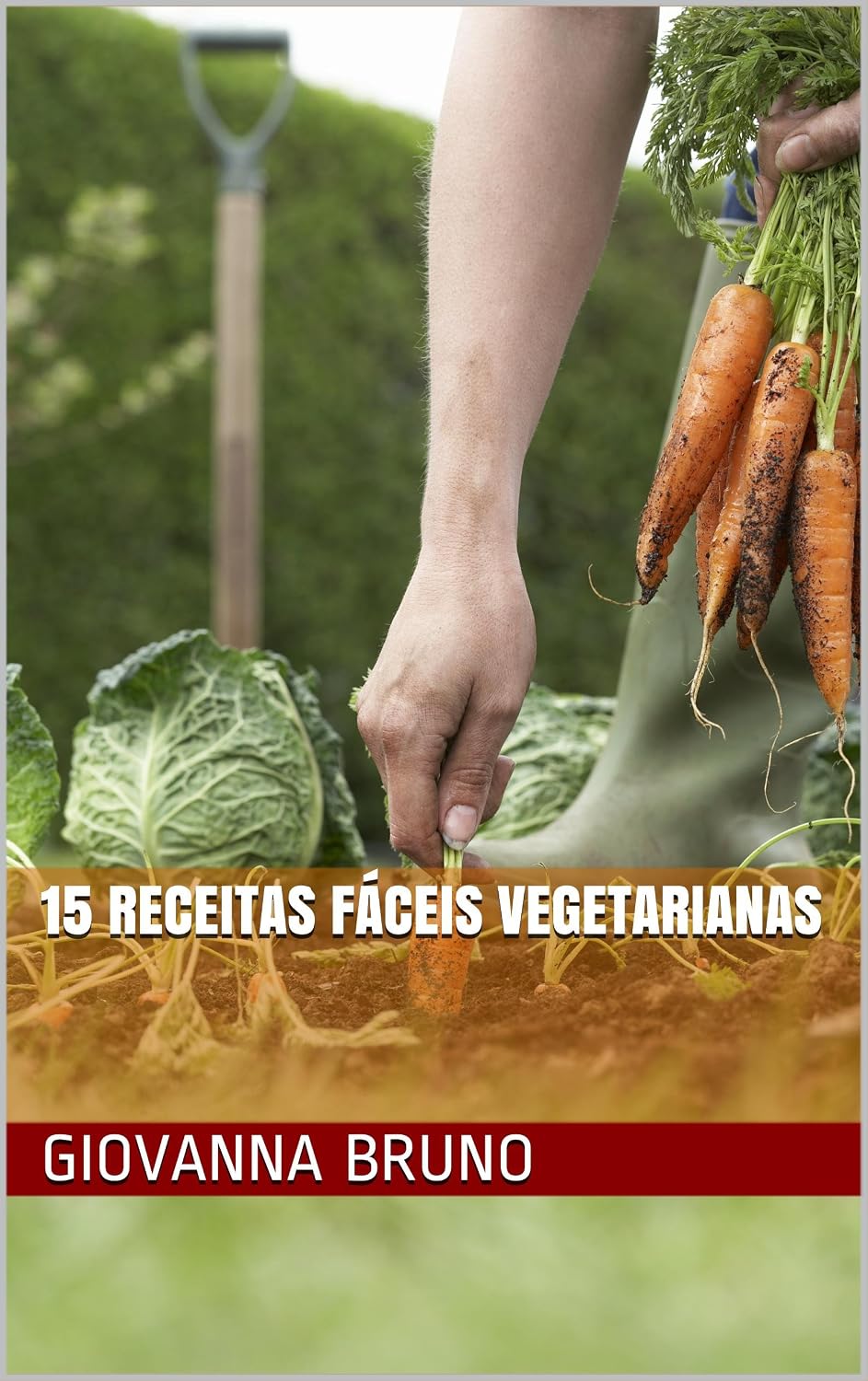 15 Receitas Fáceis Vegetarianas baixar livro de graça