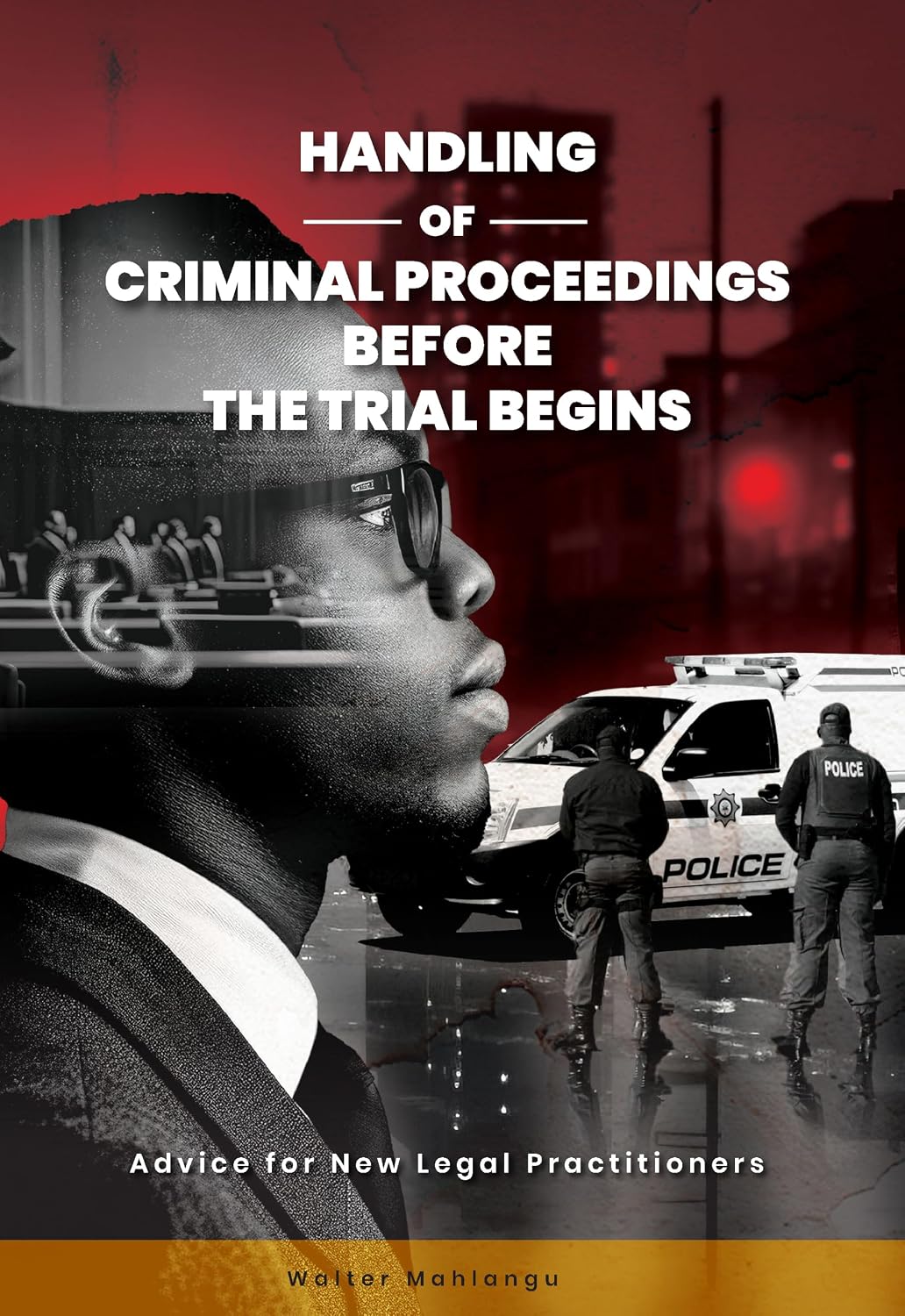 Handling of Criminal Proceedings Before the Trial Begins: Advice for New Legal Practitioners (English Edition) baixar livro de graça
